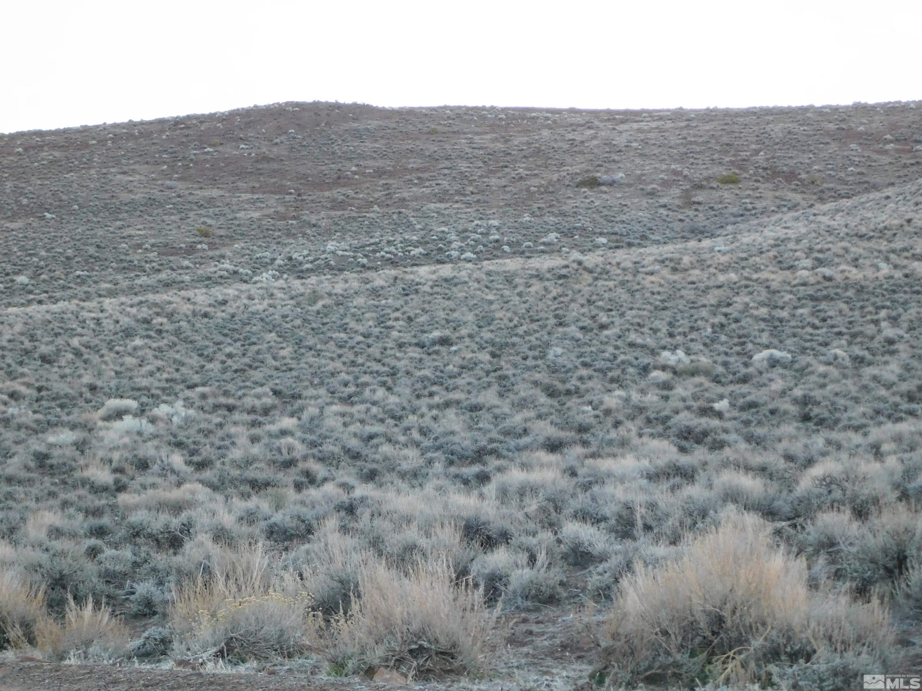 610106 Schaad Lane Dayton, NV 89403 - Photo 14 of 34 a view of a field with an outdoor space