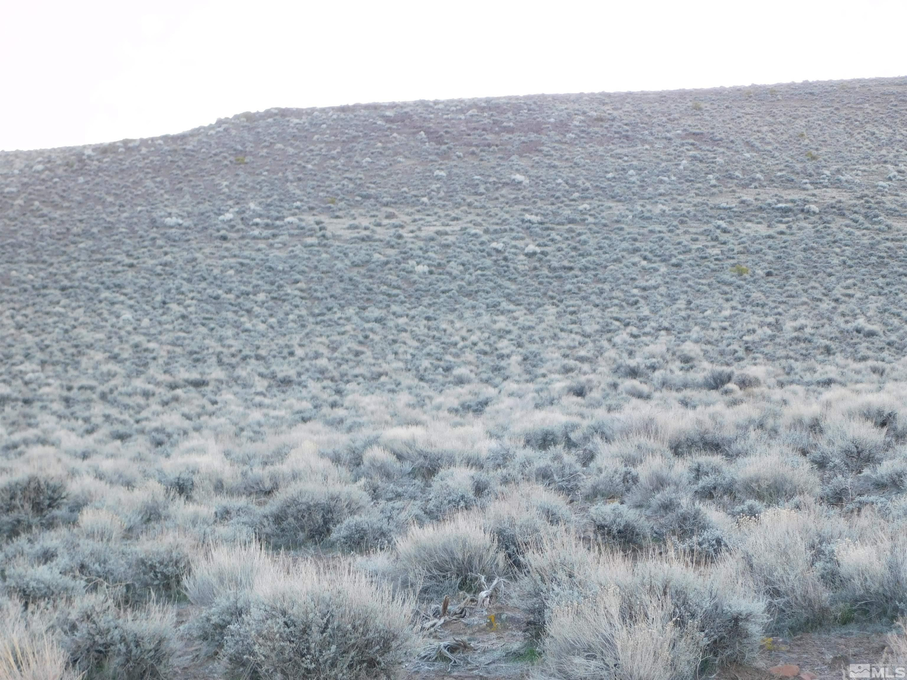 610106 Schaad Lane Dayton, NV 89403 - Photo 15 of 34