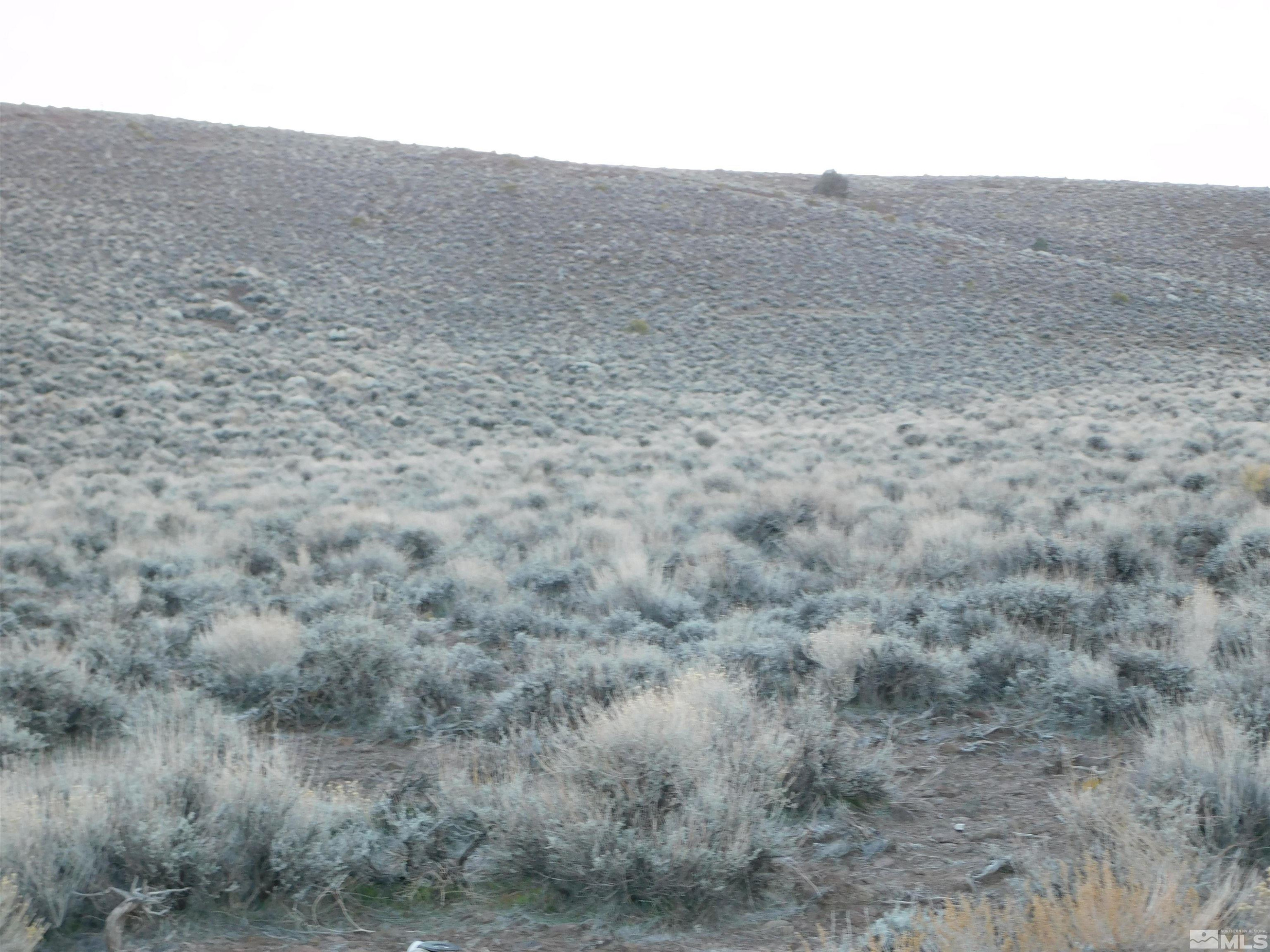 610106 Schaad Lane Dayton, NV 89403 - Photo 16 of 34 a view of a dry field