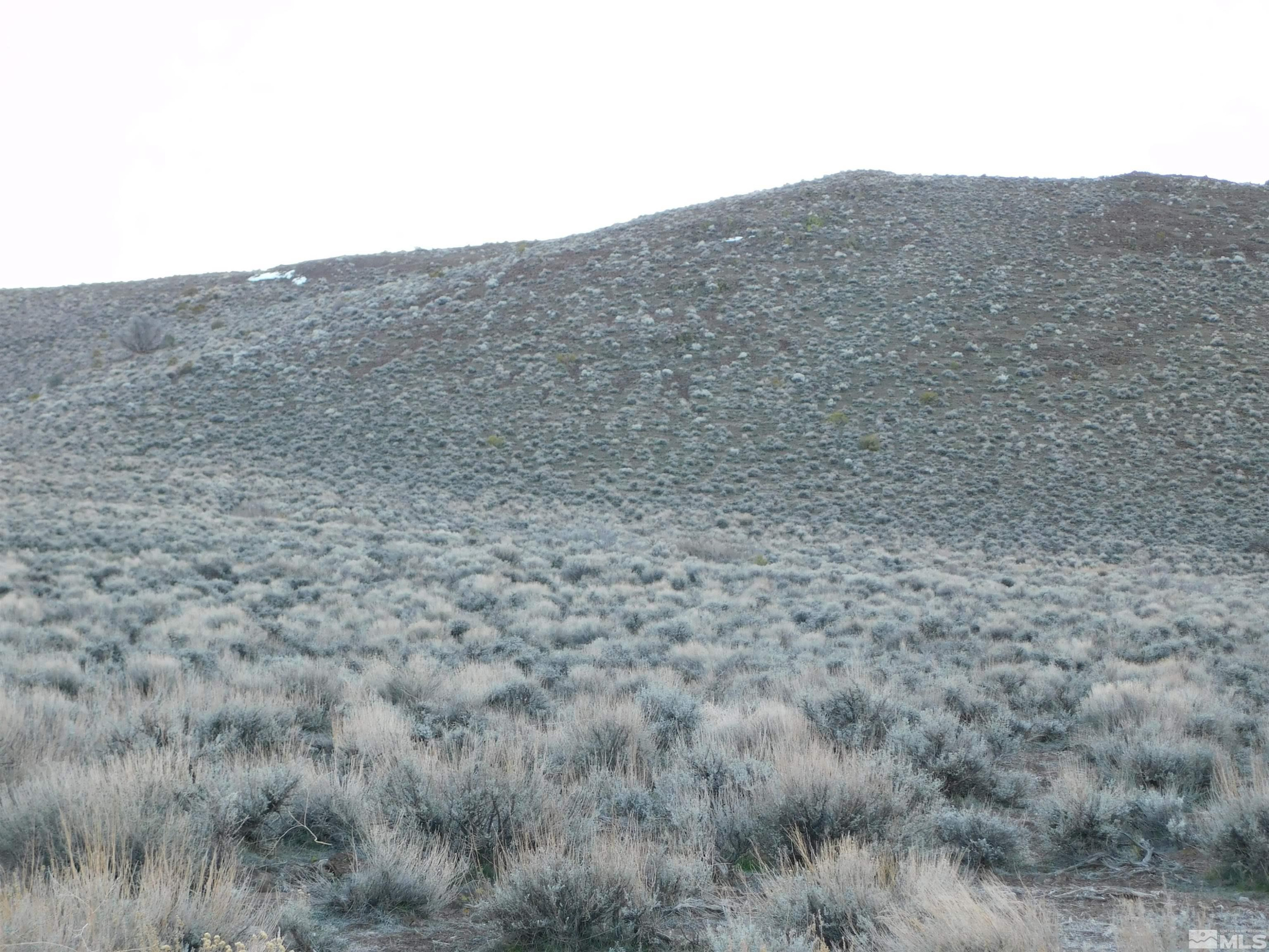 610106 Schaad Lane Dayton, NV 89403 - Photo 17 of 34 a view of a dry field
