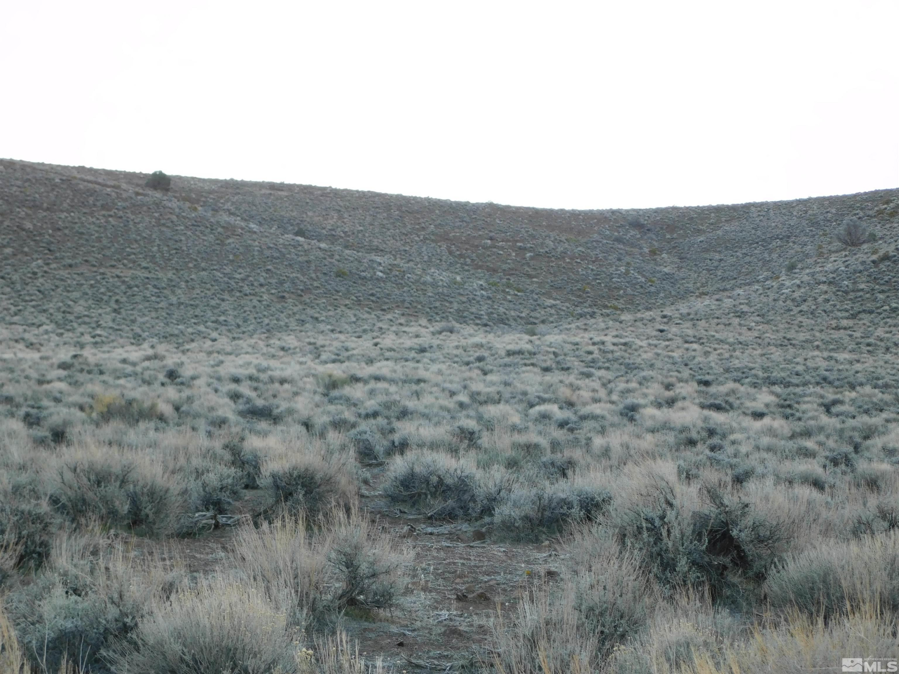 610106 Schaad Lane Dayton, NV 89403 - Photo 18 of 34 a view of a dry field