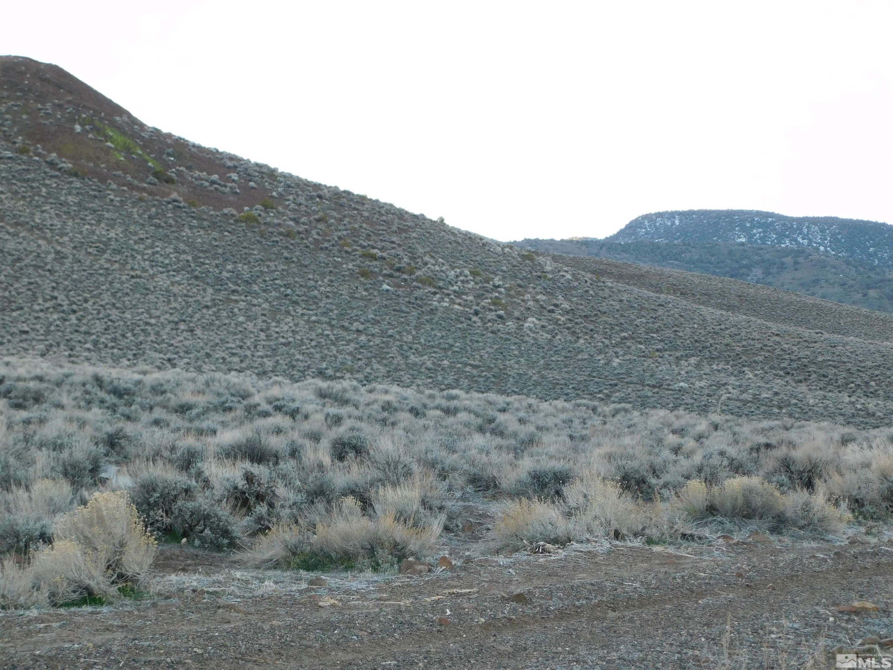 610106 Schaad Lane Dayton, NV 89403 - Photo 19 of 34 a view of a dry field