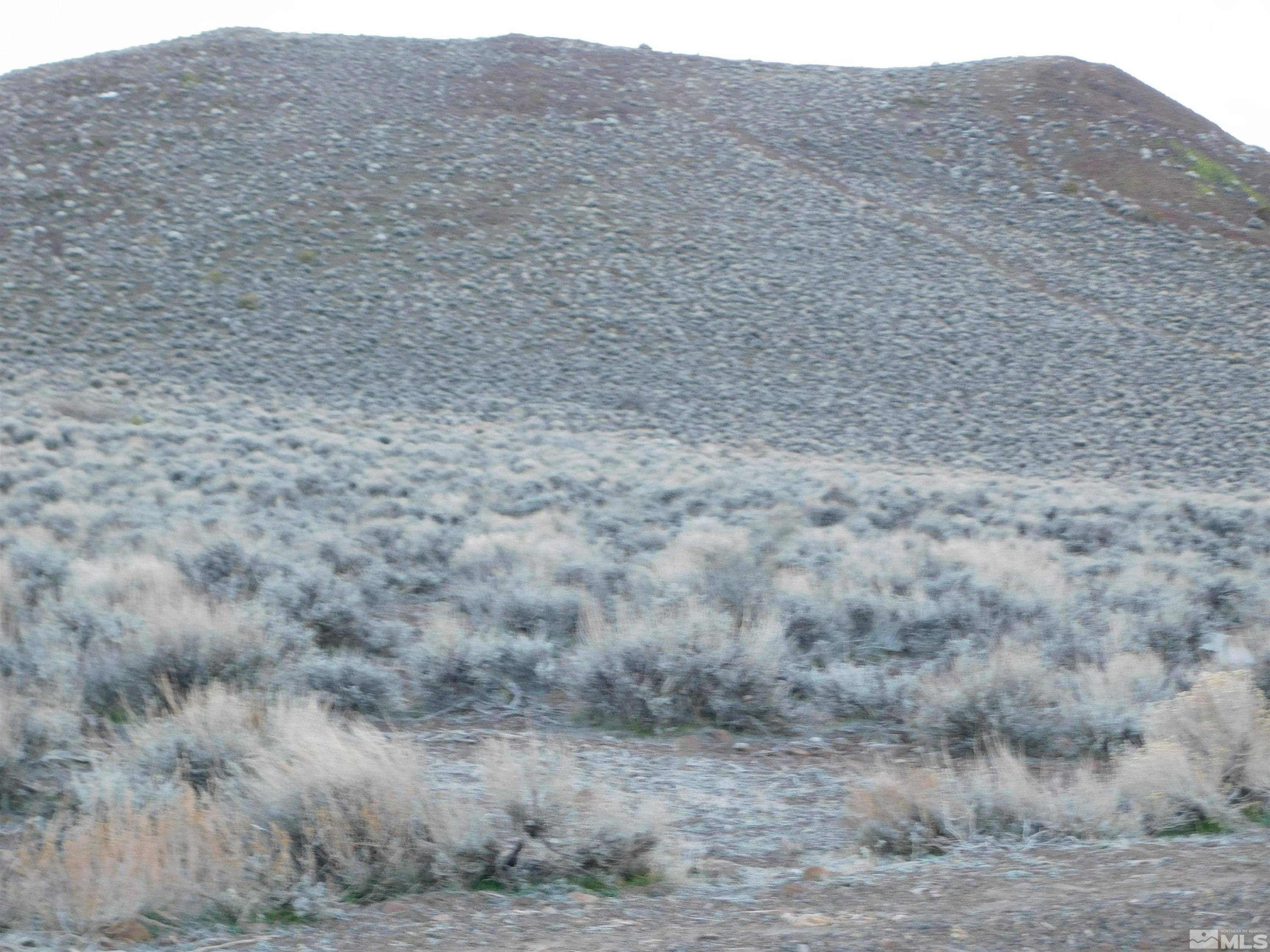 610106 Schaad Lane Dayton, NV 89403 - Photo 20 of 34 a view of a dry field