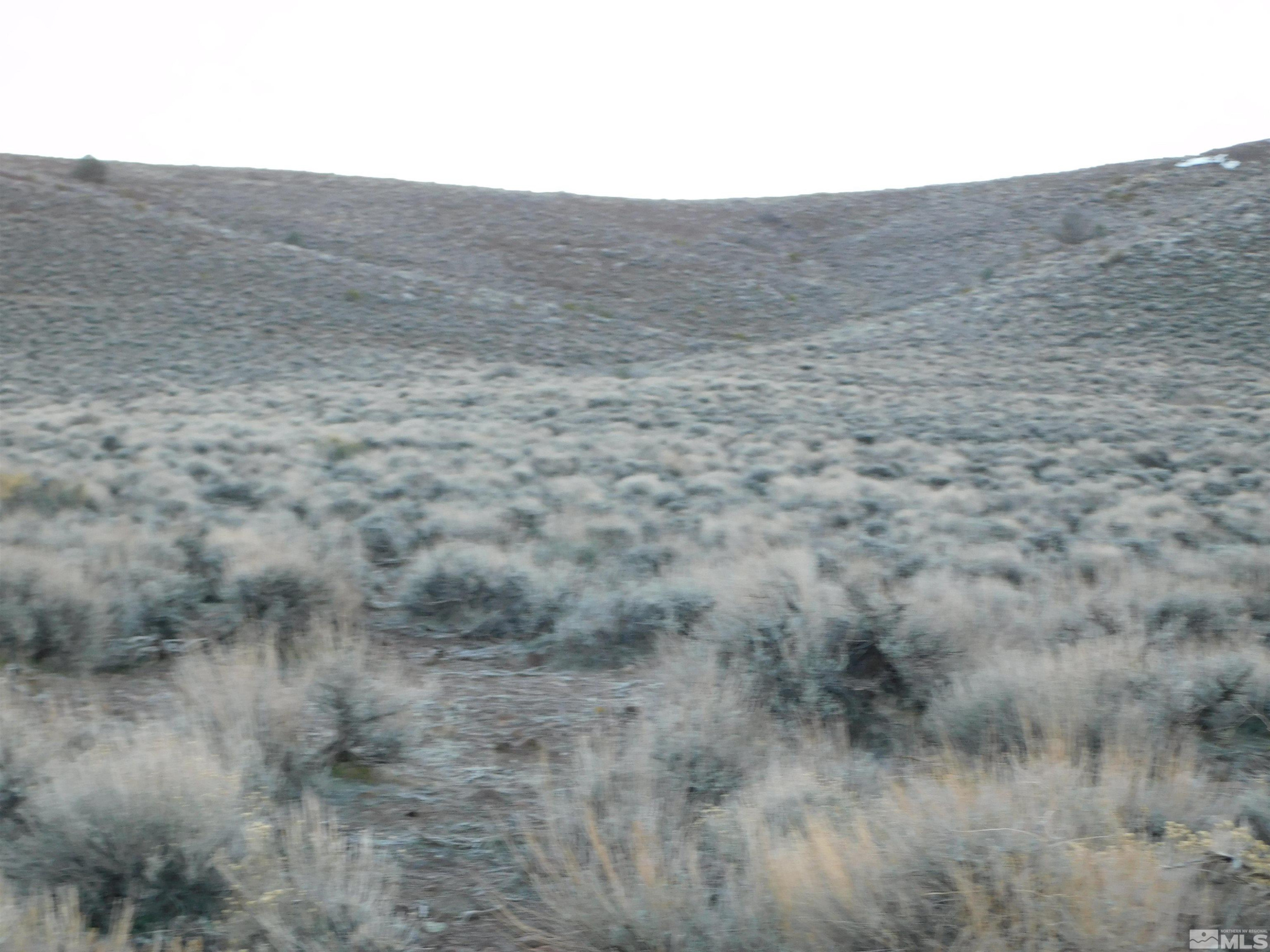 610106 Schaad Lane Dayton, NV 89403 - Photo 21 of 34 a view of a dry field