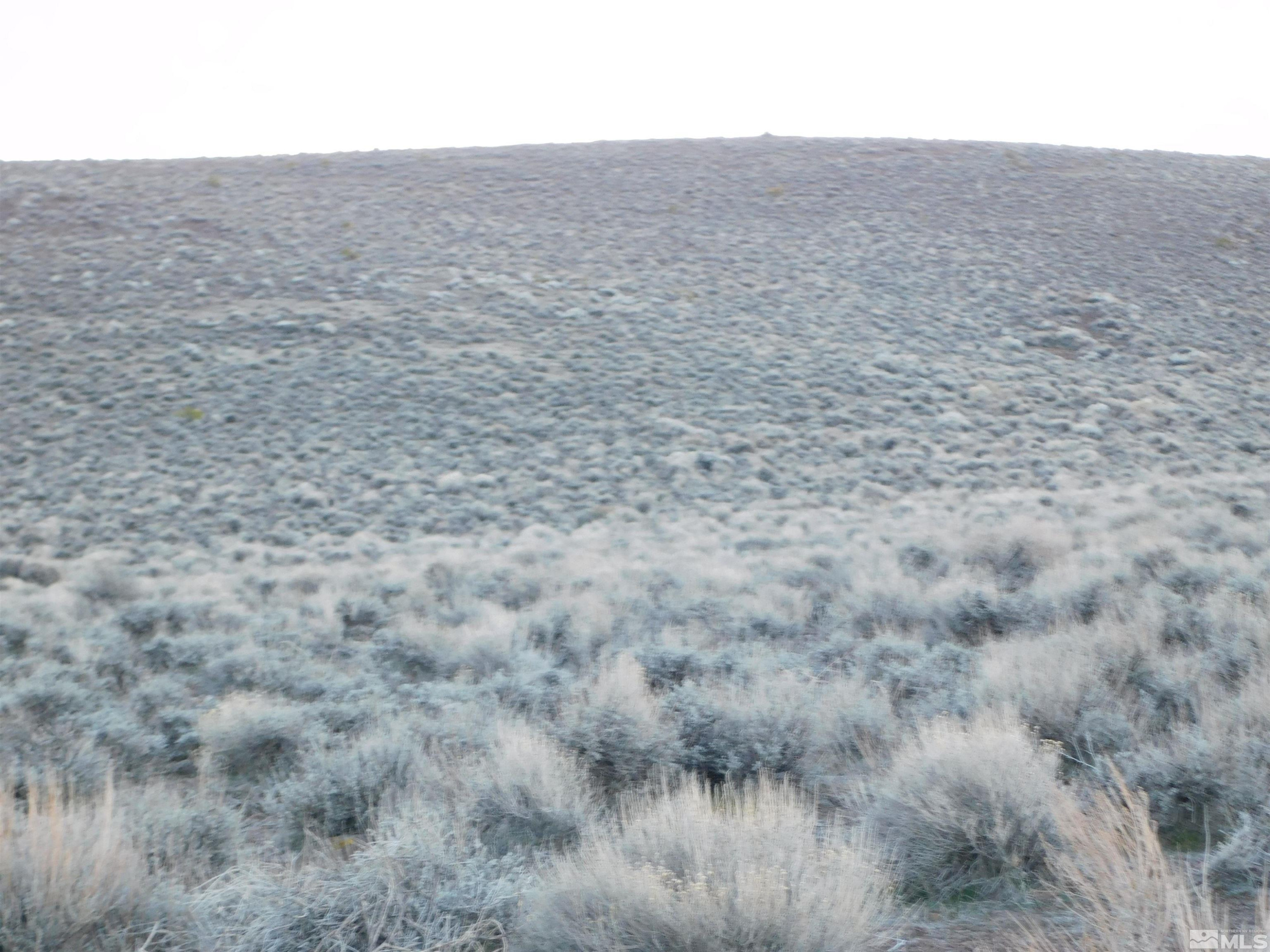 610106 Schaad Lane Dayton, NV 89403 - Photo 22 of 34 a view of a dry yard