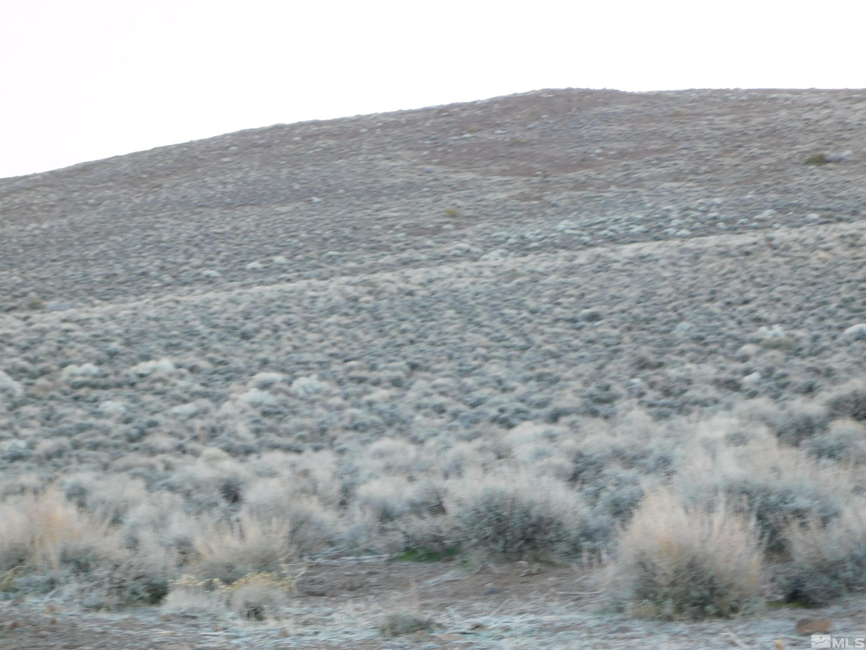 610106 Schaad Lane Dayton, NV 89403 - Photo 24 of 34 a view of a dry field