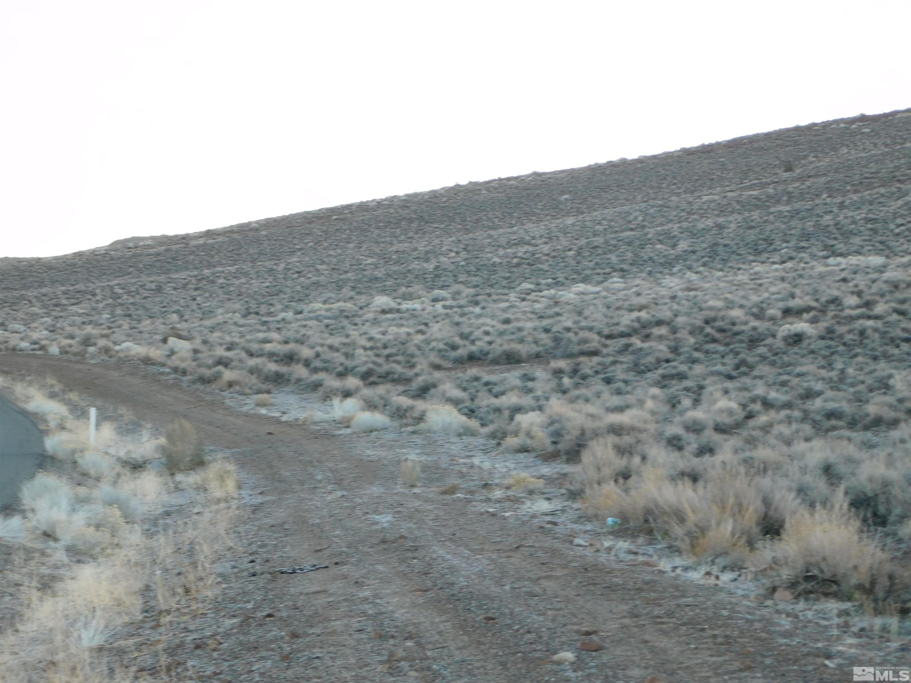 610106 Schaad Lane Dayton, NV 89403 - Photo 25 of 34 a view of a dry yard