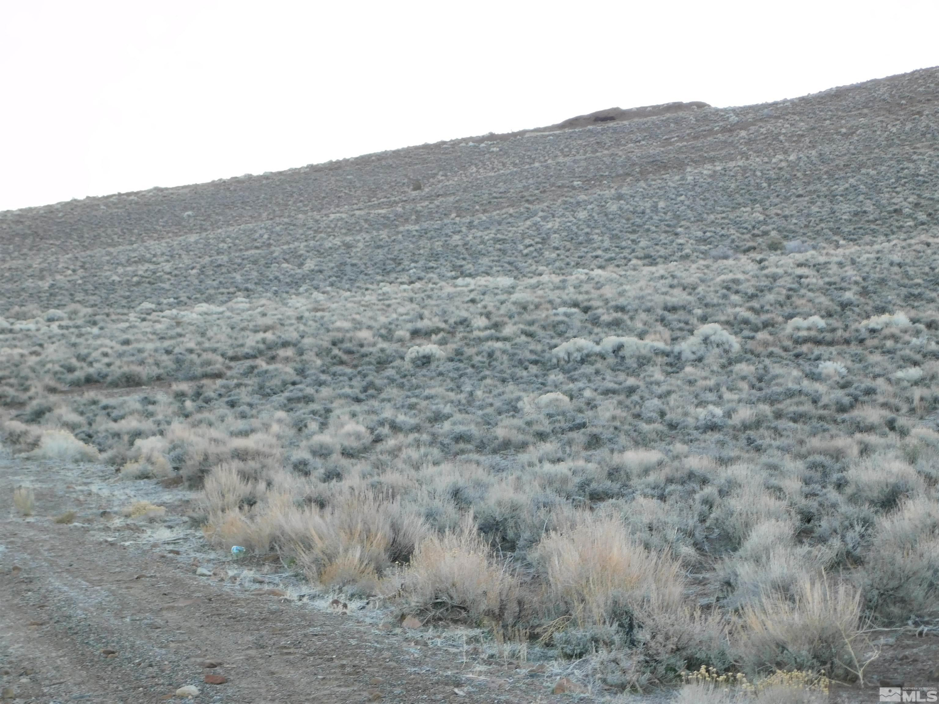 610106 Schaad Lane Dayton, NV 89403 - Photo 26 of 34 a view of a dry field