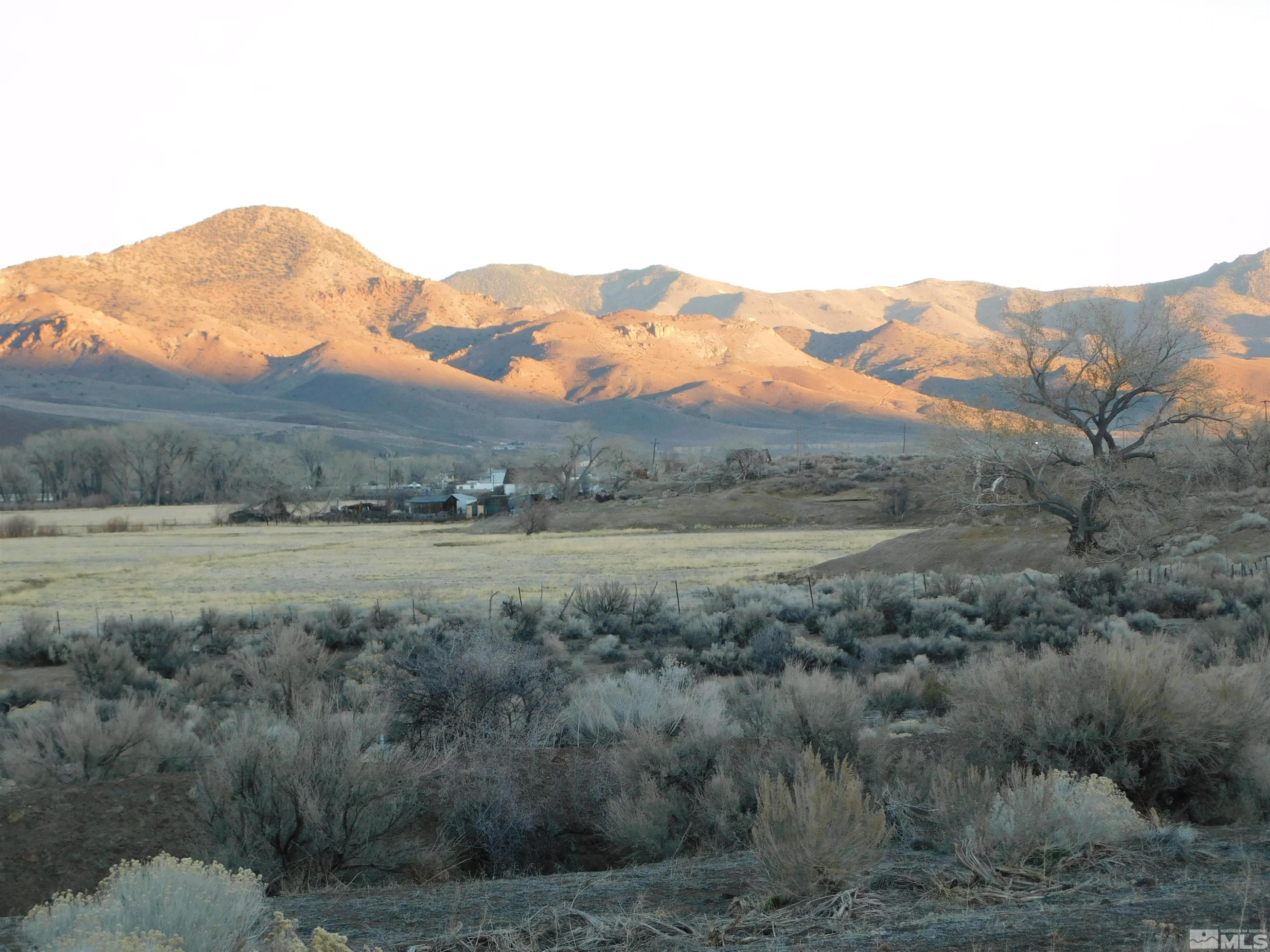 610106 Schaad Lane Dayton, NV 89403 - Photo 30 of 34 a view of a mountain range with trees