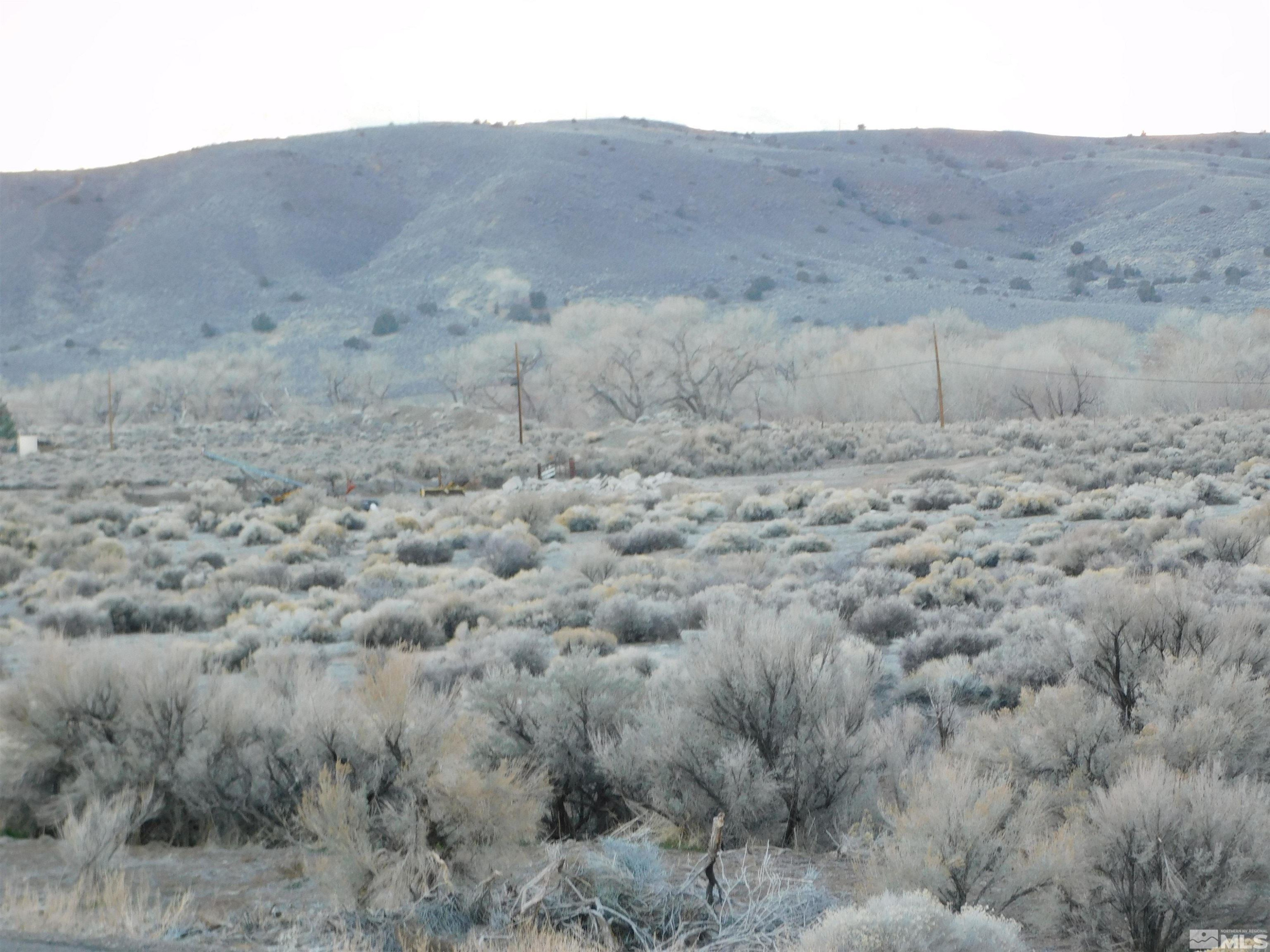 610106 Schaad Lane Dayton, NV 89403 - Photo 7 of 34 a view of a dry dry field