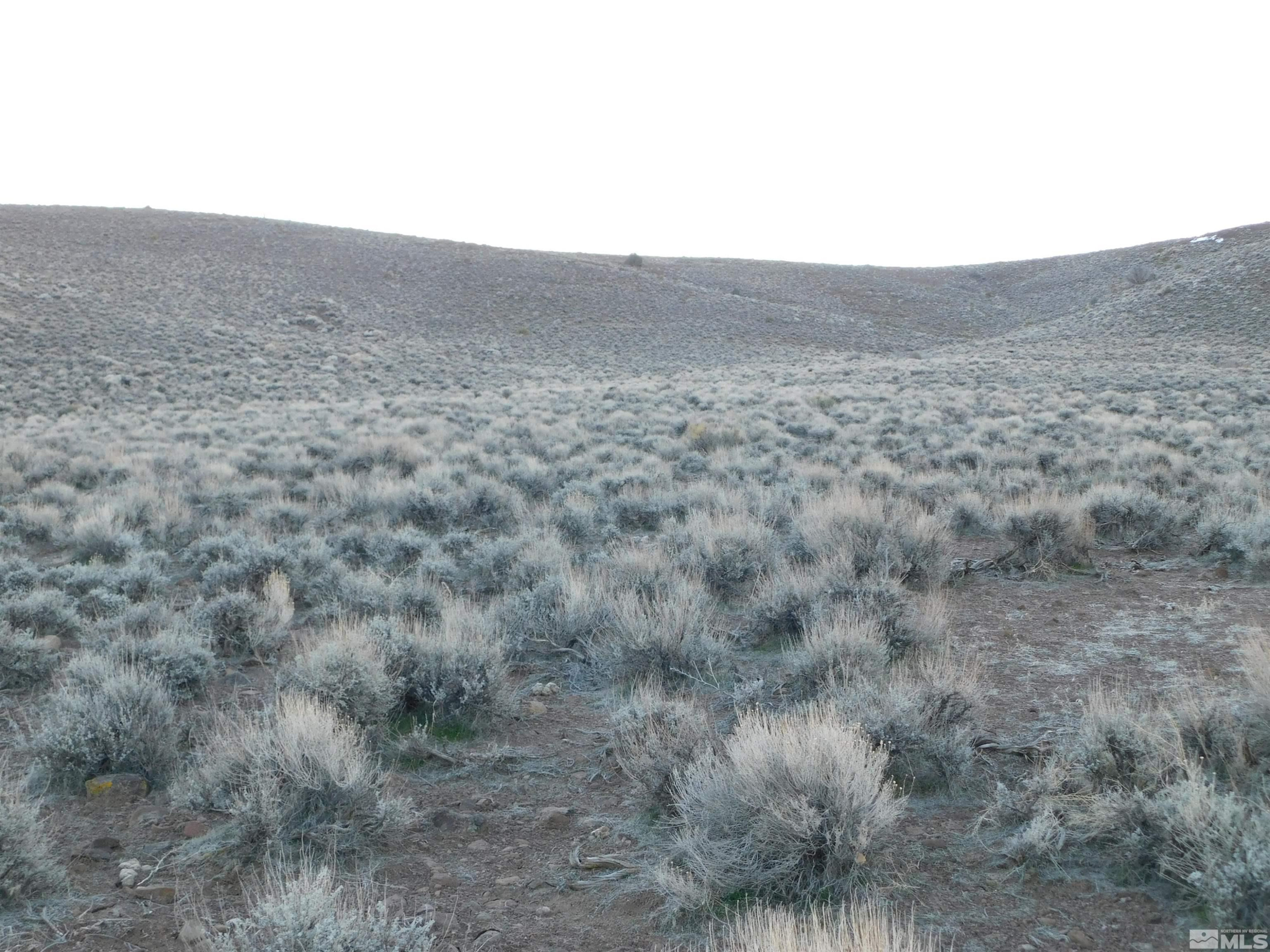 610106 Schaad Lane Dayton, NV 89403 - Photo 9 of 34 a view of a dry yard