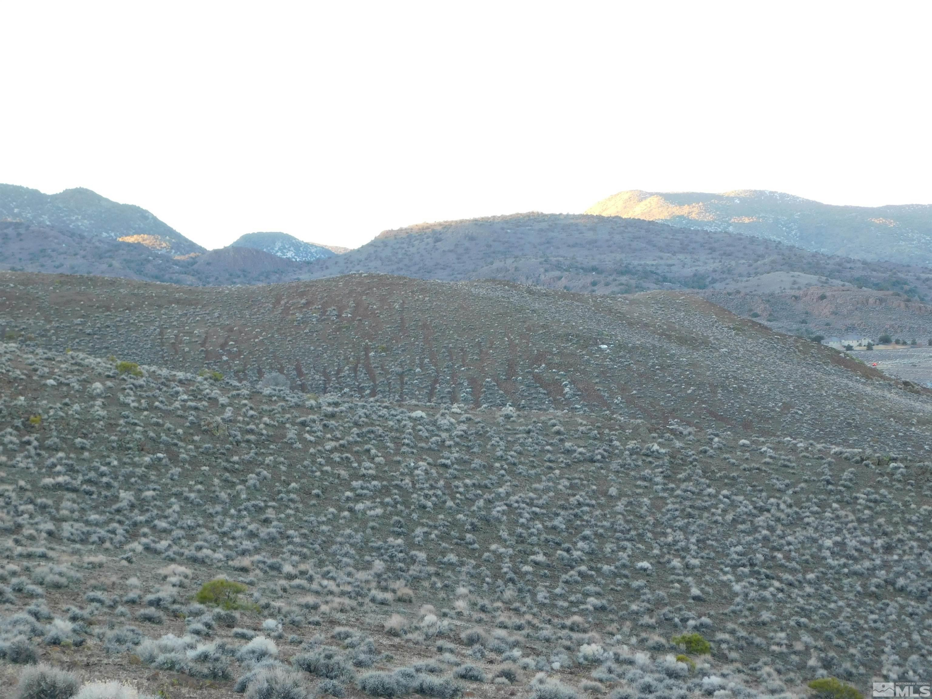 610106 Schaad Lane Dayton, NV 89403 - Photo 10 of 34 a view of a dry yard with mountains in the background