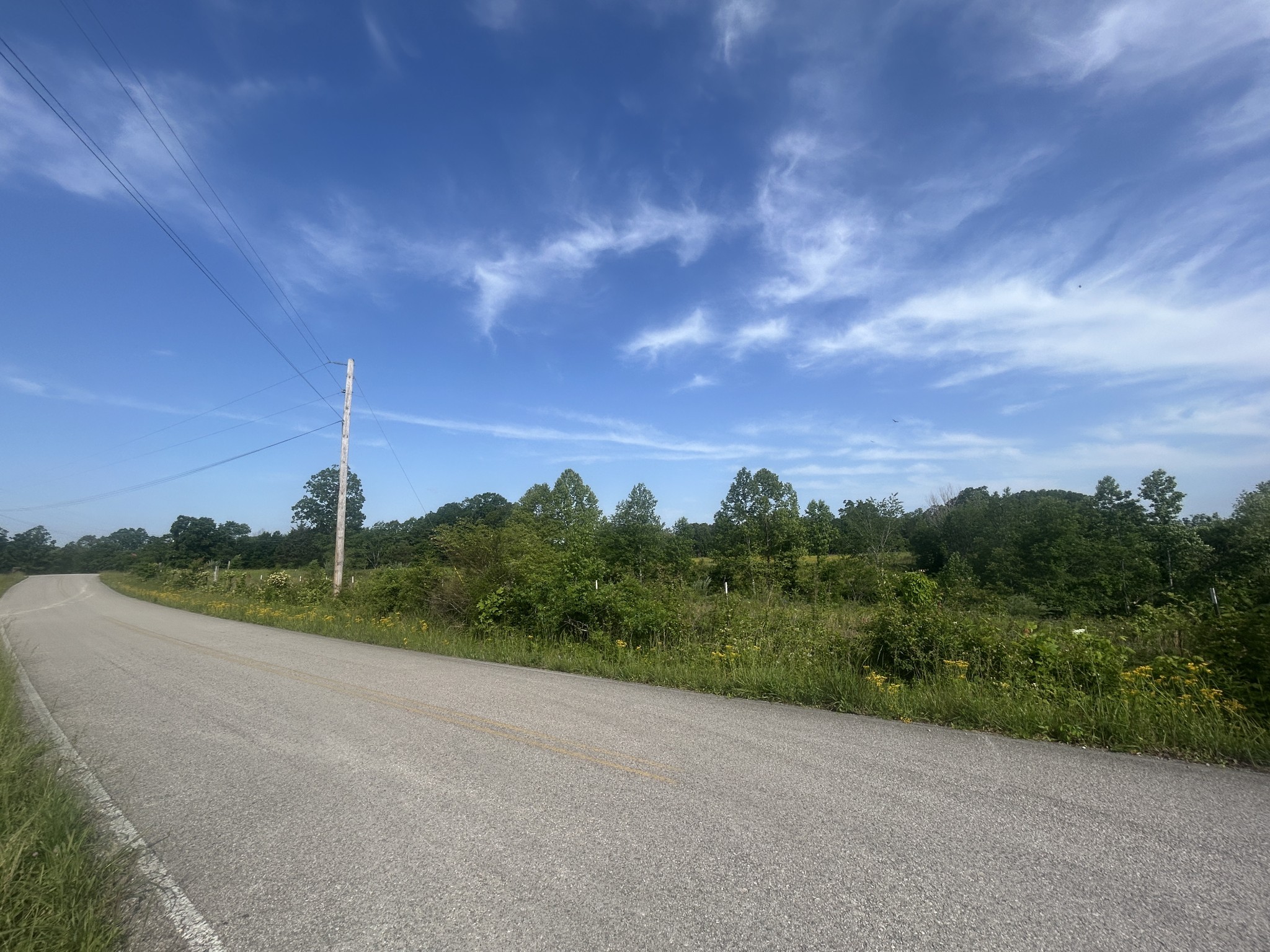2047 Buffalo Road Hohenwald, TN 38462 - Photo 11 of 25 a view of a road with a yard and a wooden fence