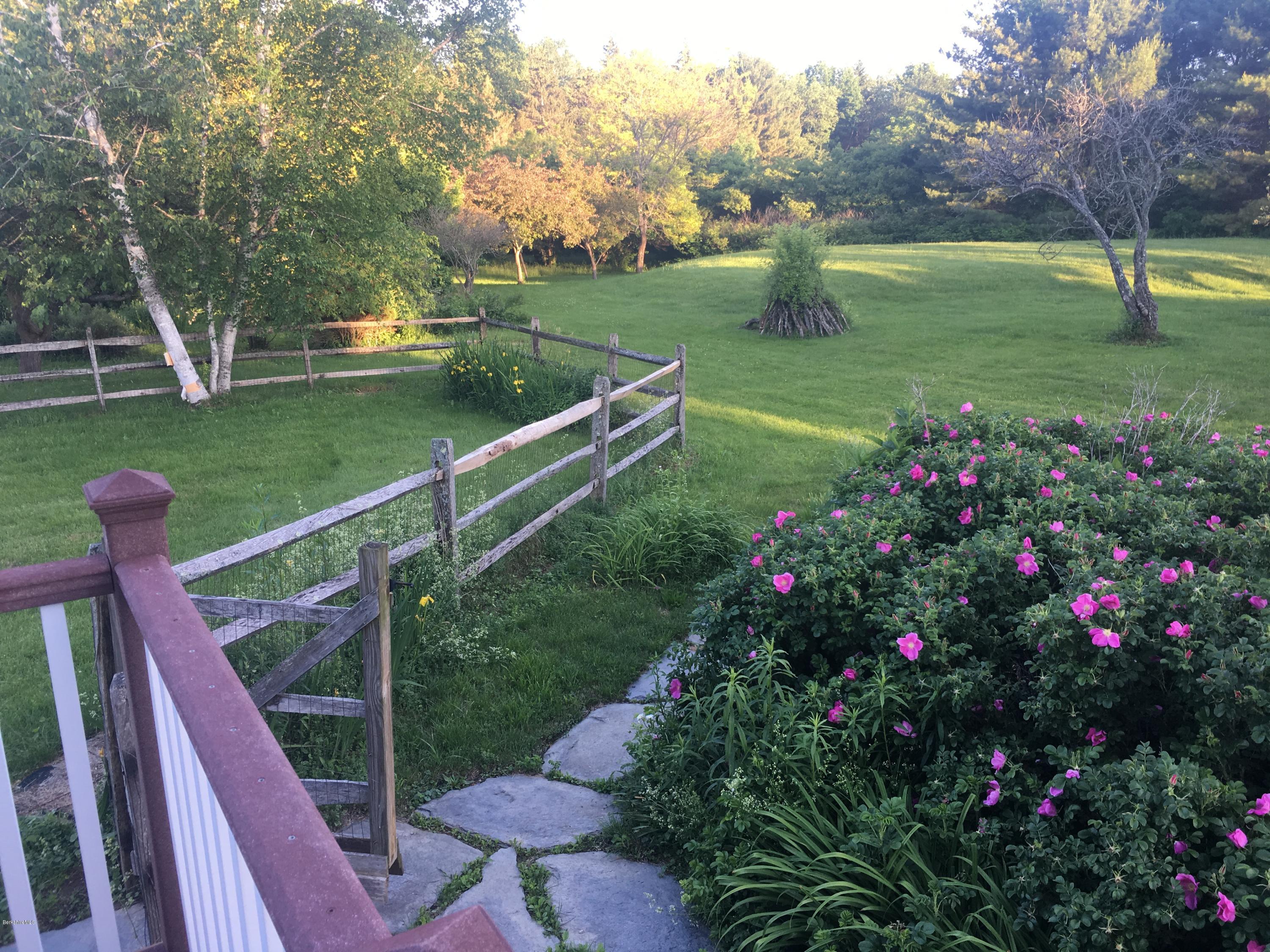 209 State Road Richmond, MA 01201 - Photo 3 of 38 a view of a garden with plants and large trees