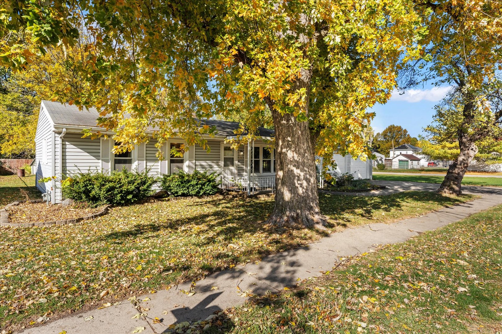211 South Main Street Argenta, IL 62501 - Photo 2 of 32 a view of a yard with plants and large trees