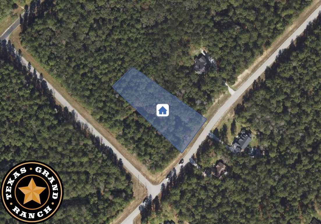 5-6-229 Dipping Vat Road Huntsville, TX 77340 - Photo 4 of 22 a picture of a tree