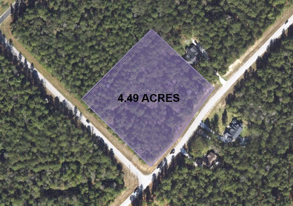 5-6-229 Dipping Vat Road Huntsville, TX 77340 - Photo 5 of 22 a view of a tree in front of a yard