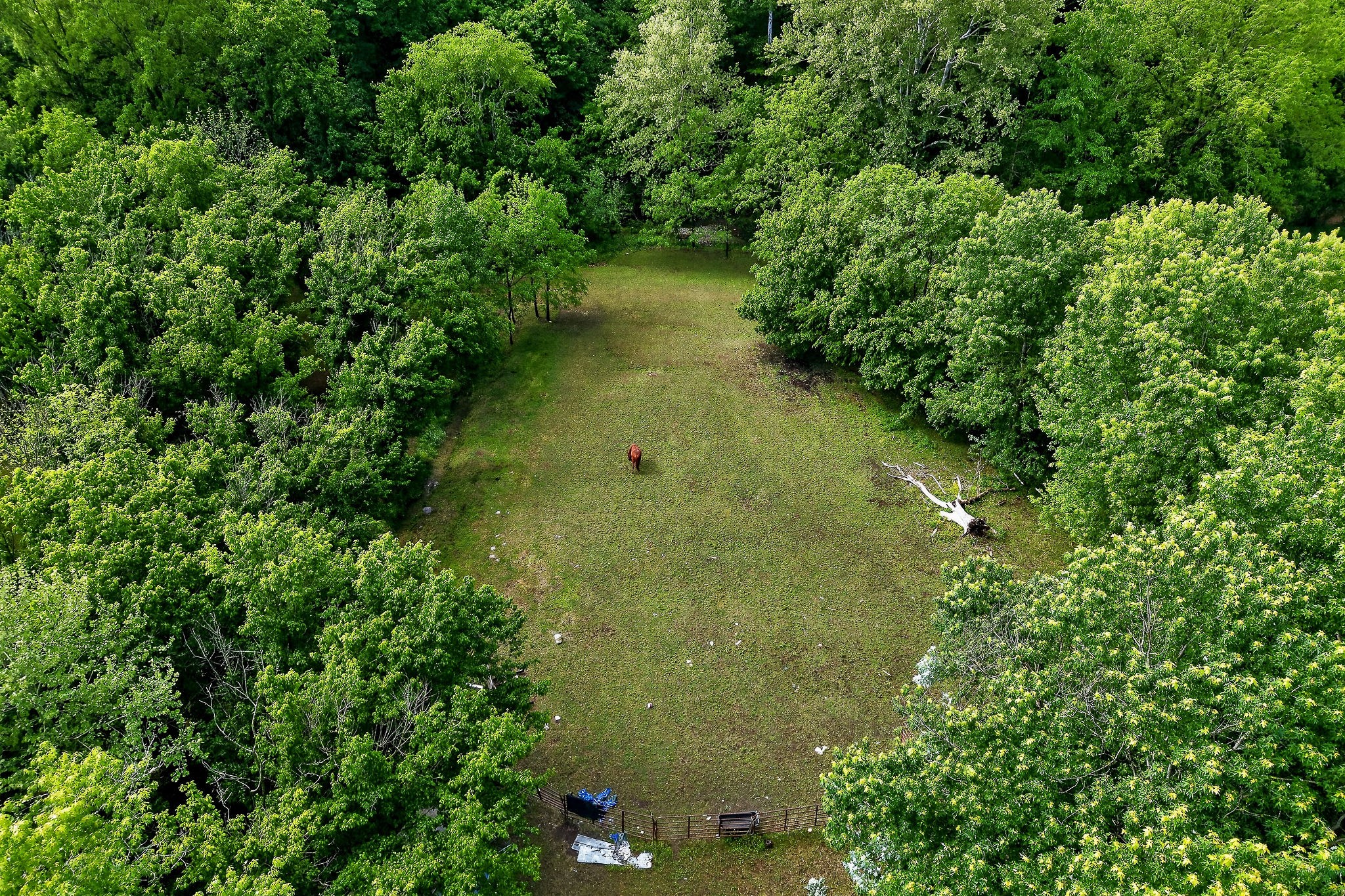 3754 Alexandria To Dismal Road Liberty, TN 37095 - Photo 11 of 42