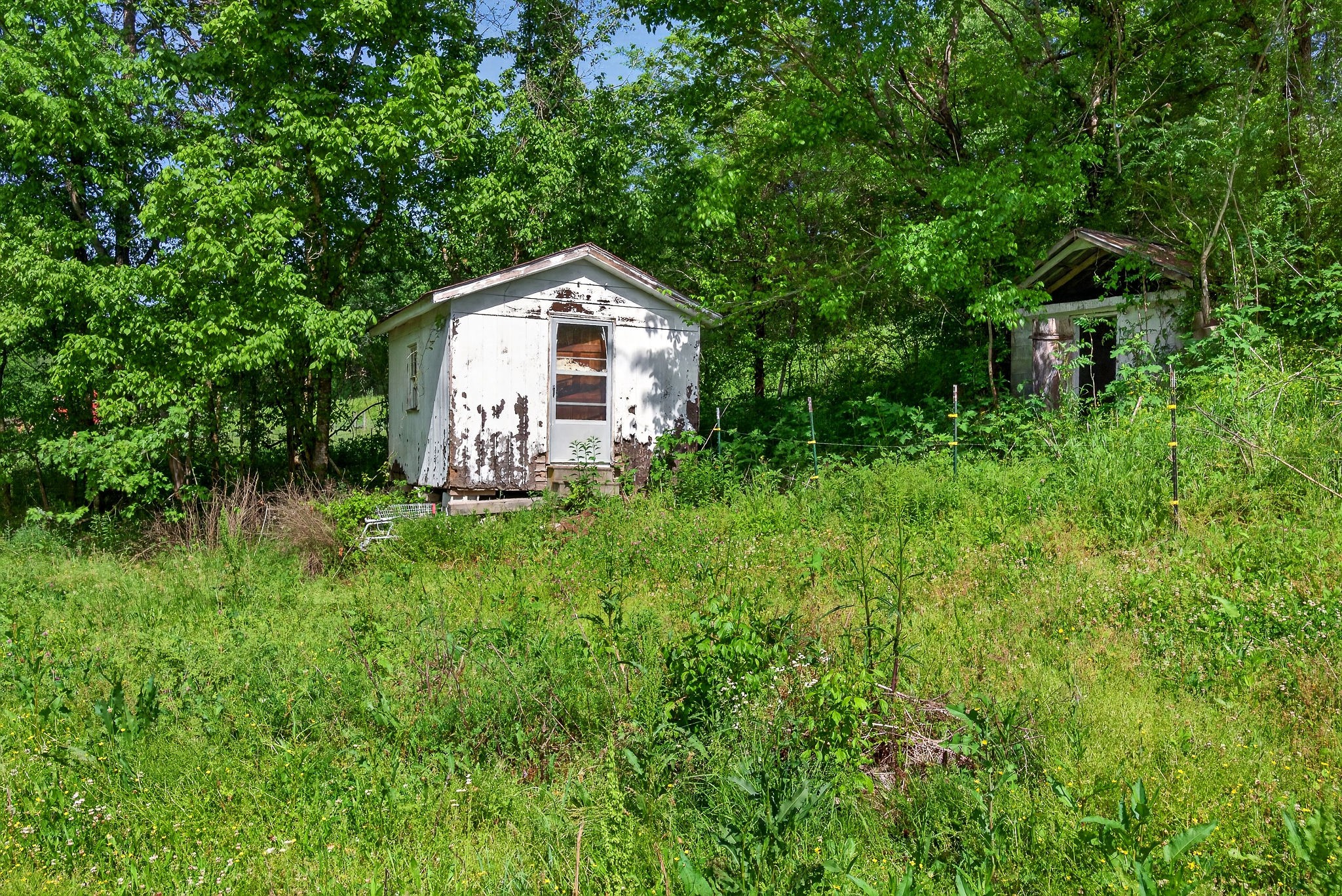 3754 Alexandria To Dismal Road Liberty, TN 37095 - Photo 33 of 42