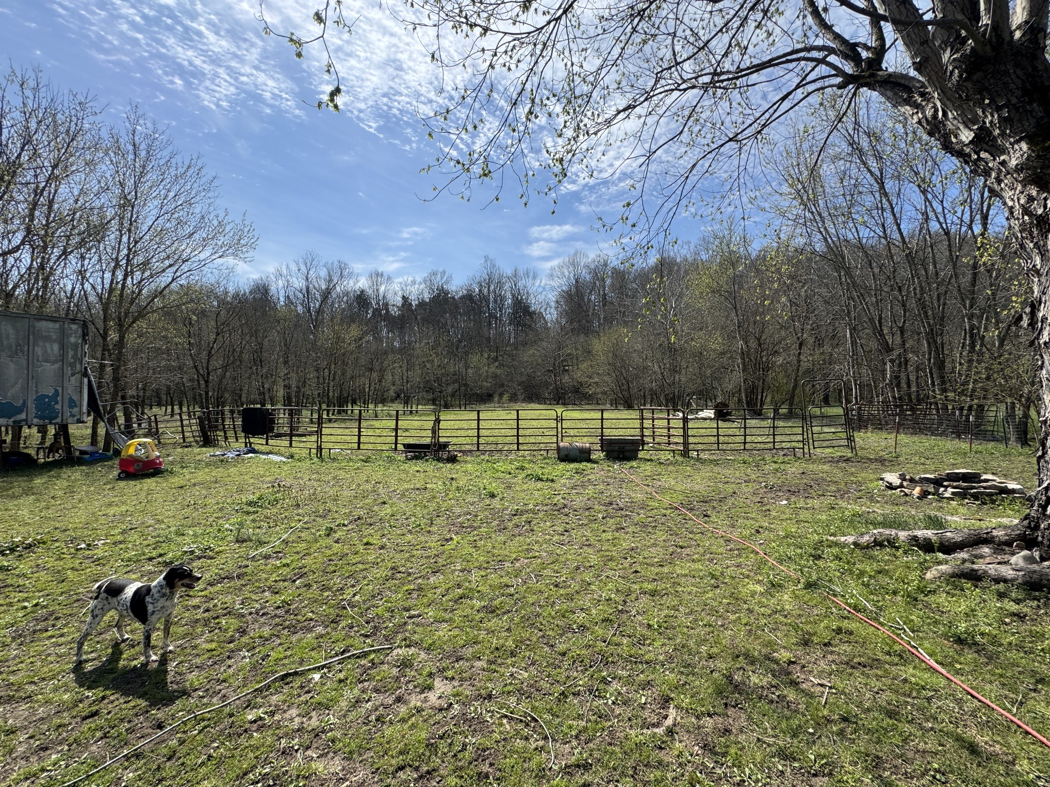 3754 Alexandria To Dismal Road Liberty, TN 37095 - Photo 7 of 16