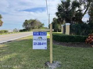 a view of a backyard with plants and a barbeque