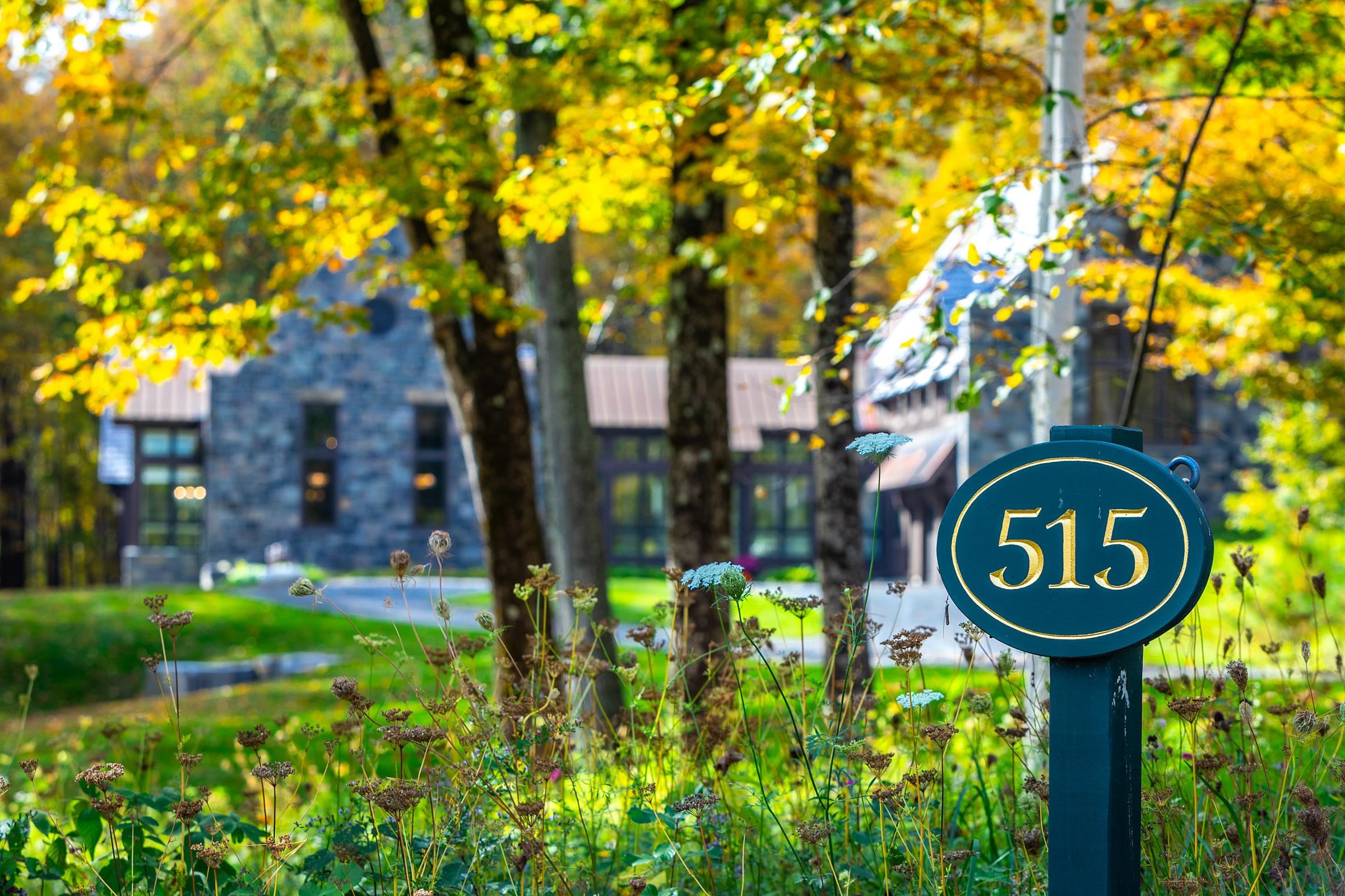 515 W Fields Manchester, VT 05255 - Photo 40 of 40