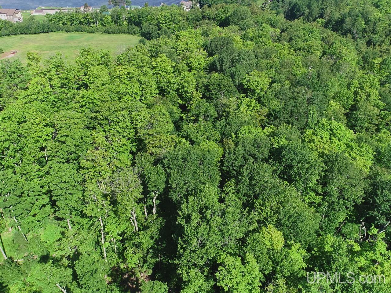 8-acres Nestor Road Munising, MI 49862 - Photo 43 of 43