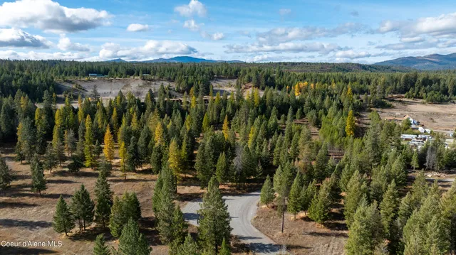 $260,000 | Lot 4 Mohawk Drive, Athol, ID 83801