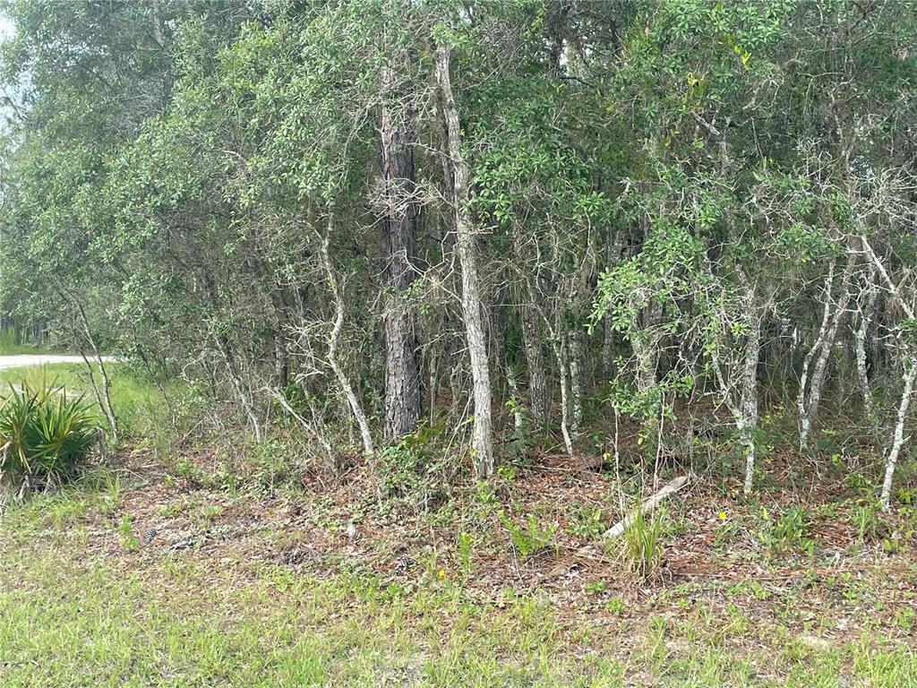 7 Chickadee Road Brooksville, FL 34614 - Photo 1 of 1