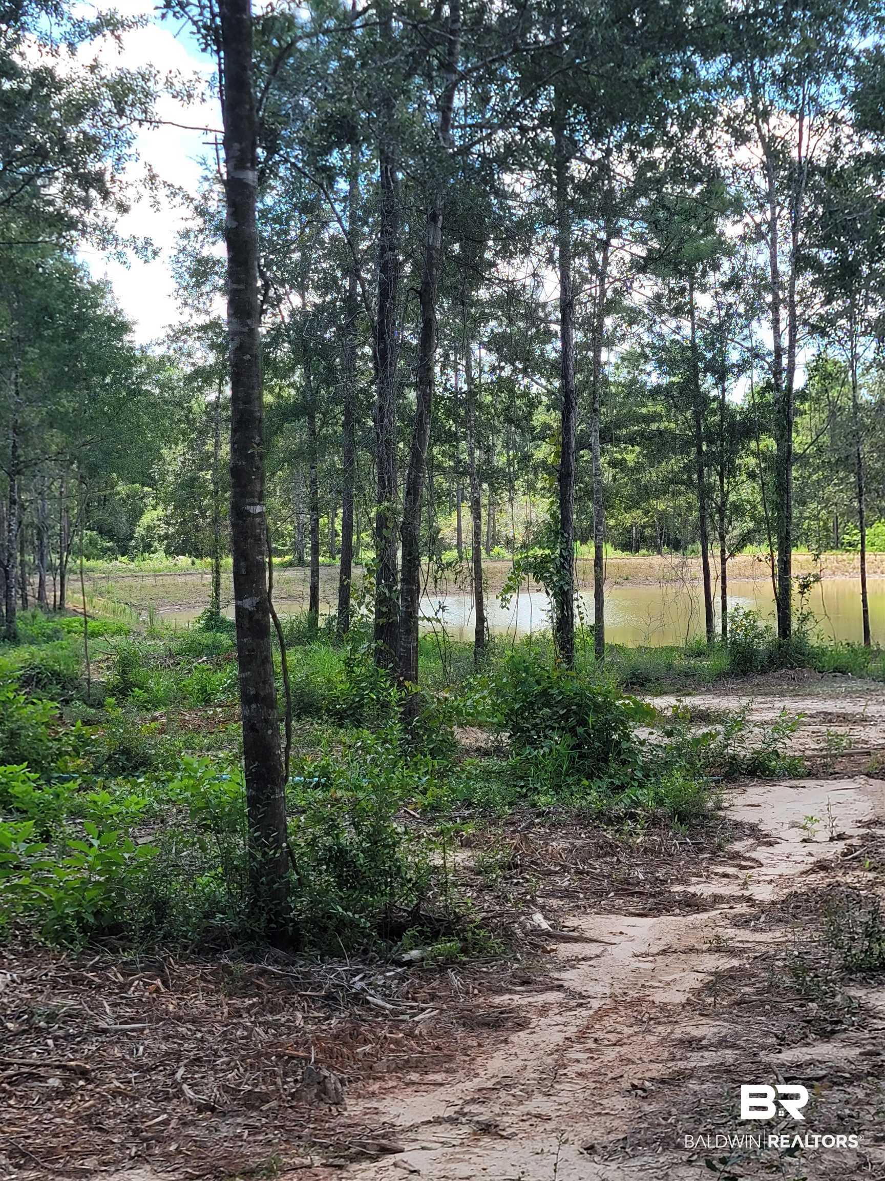 Lot 10 Wildflower Trail Daphne, AL 36527 - Photo 2 of 7