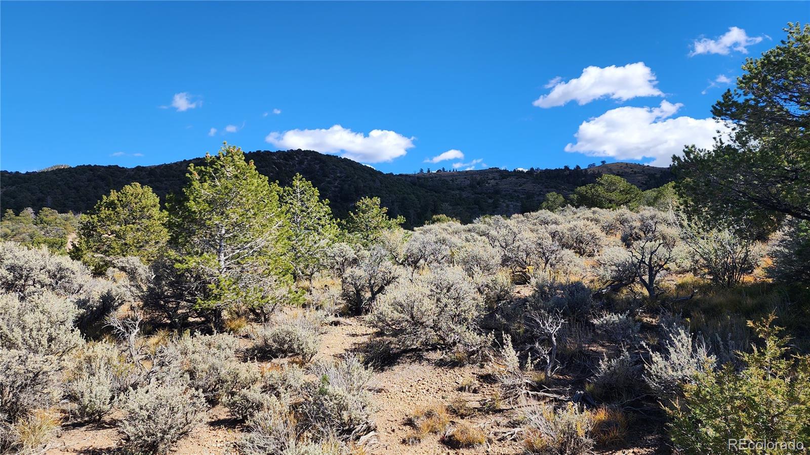 5974 Goldstein Road San Luis, CO 81152 - Photo 19 of 24 Gallery Image 19