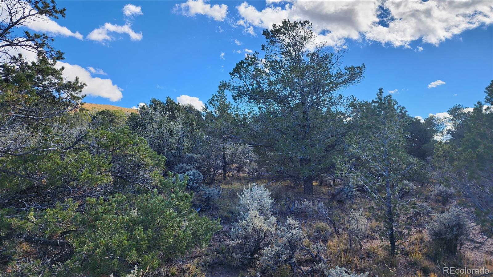 5974 Goldstein Road San Luis, CO 81152 - Photo 5 of 24 Gallery Image 5