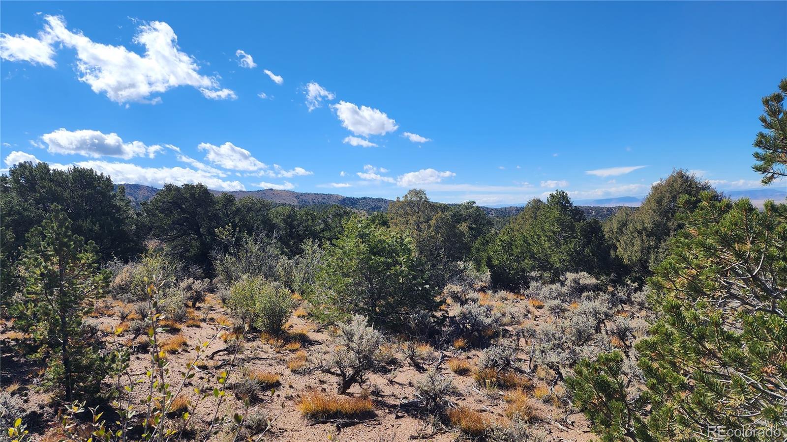 5974 Goldstein Road San Luis, CO 81152 - Photo 6 of 24 Gallery Image 6