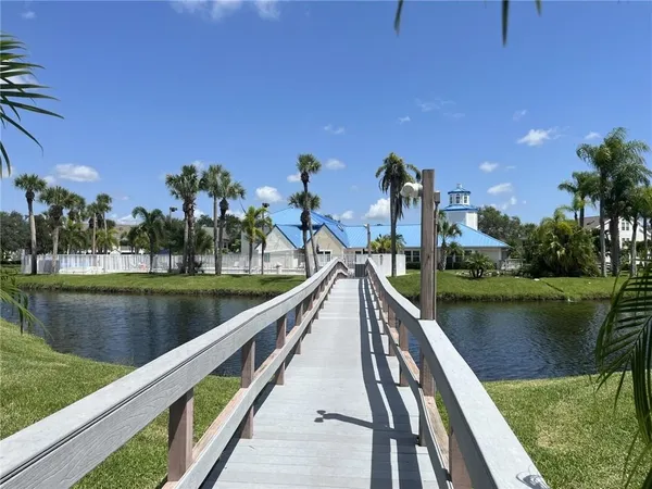 a view of a yard with palm trees