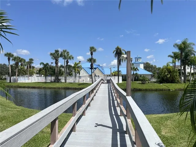 a view of a yard with palm trees