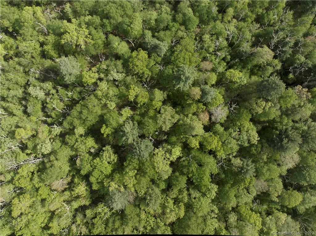 a view of a large yard with lots of green space