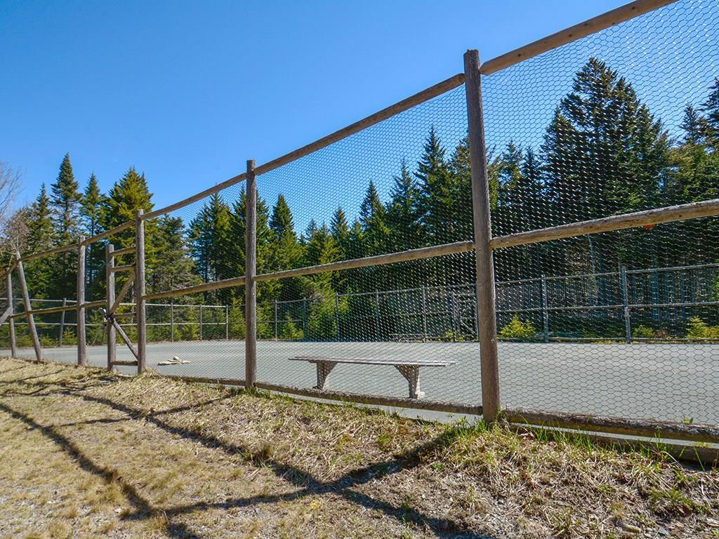 49 Atlantic Road Swans Island, ME 04685 - Photo 29 of 33 Newly resurfaced Har-Tru clay tennis...