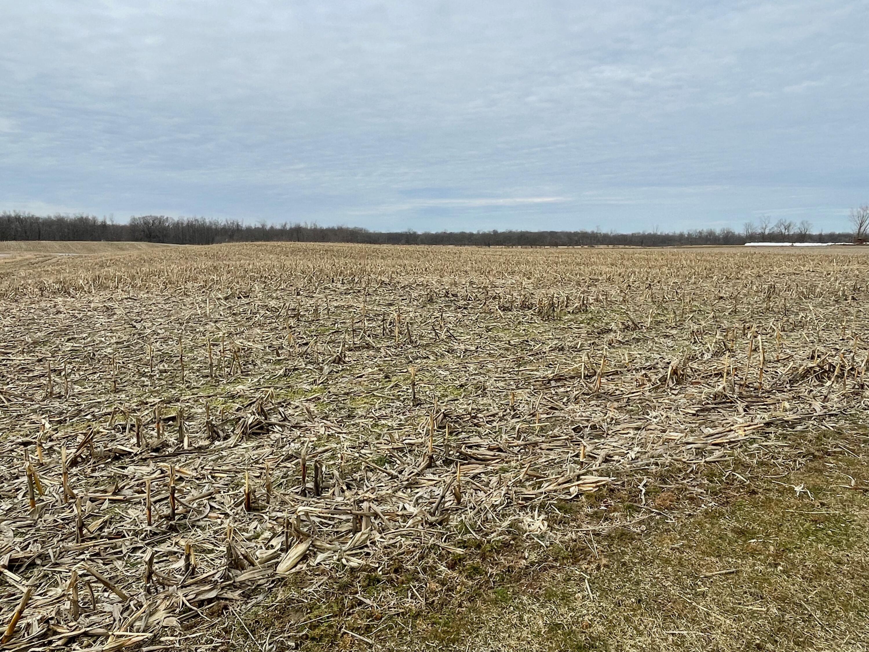 -vl Lickley Road Waldron, MI 49288 - Photo 5 of 6 IMG_0444