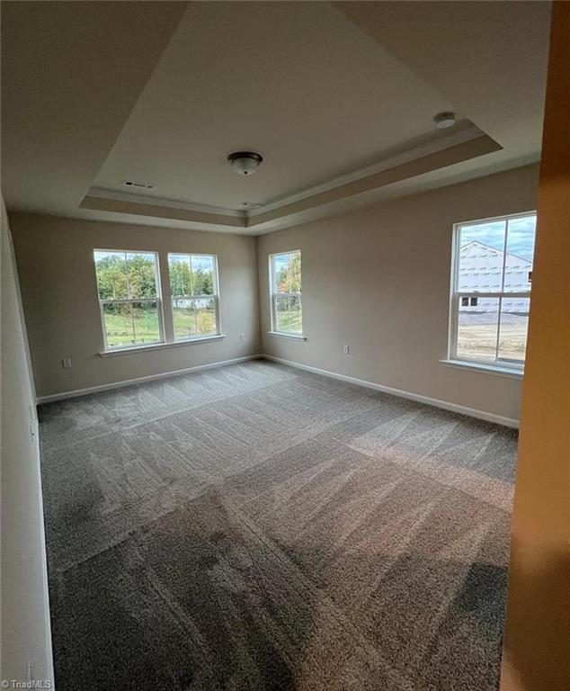 872 Falls Grove Trail High Point, NC 27265 - Photo 4 of 16