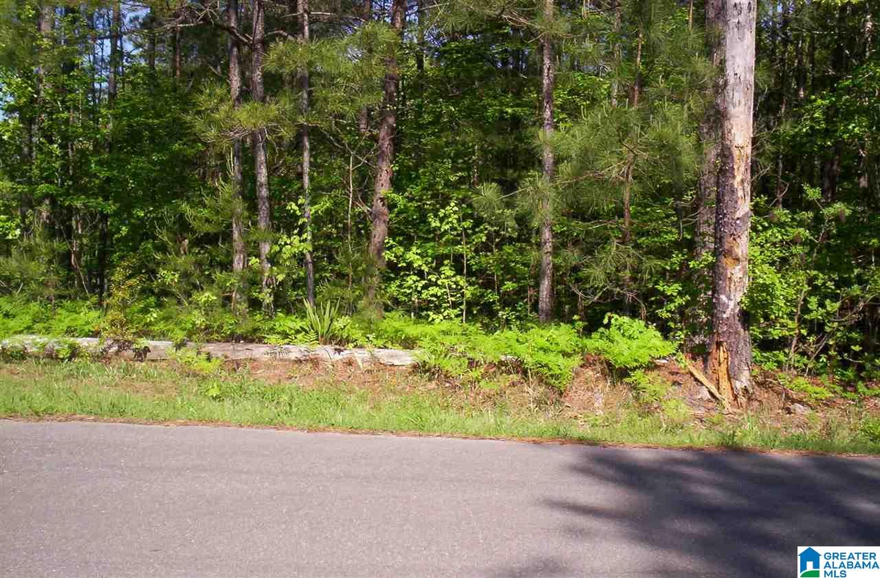 Old Pineywoods Road, Unit 1 6 Jasper, AL 35504 - Photo 4 of 5