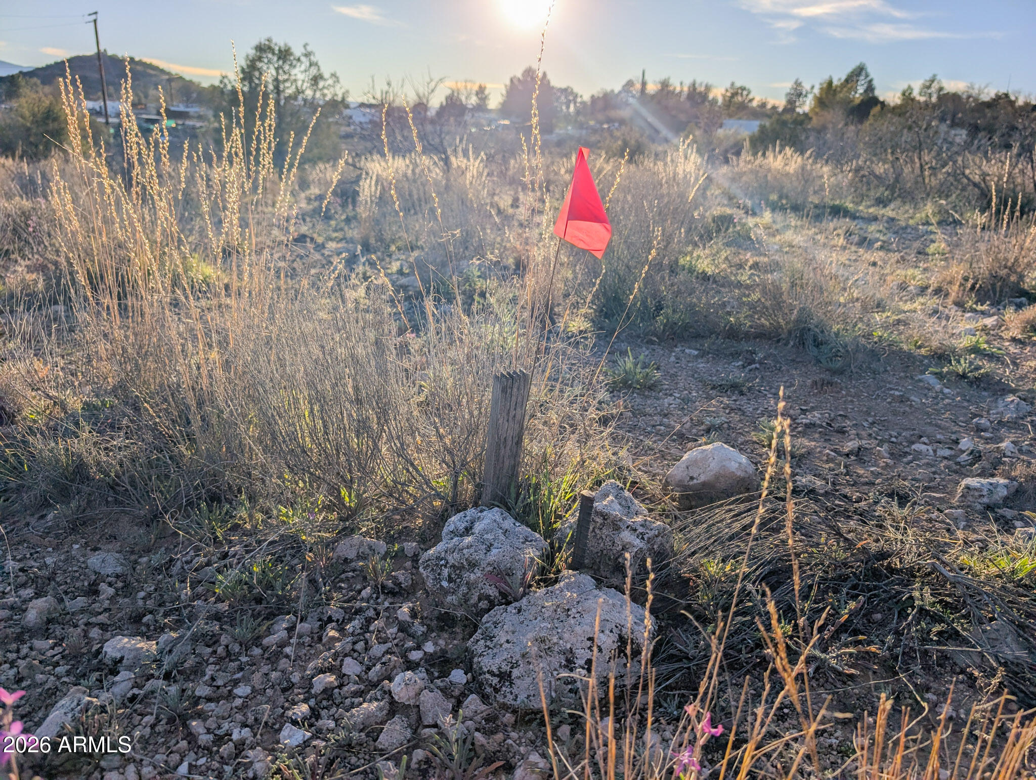 4025 East Red Baron Drive, Unit 40525757Z Rimrock, AZ 86335 - Photo 13 of 66 a fire hydrant in the middle of a field