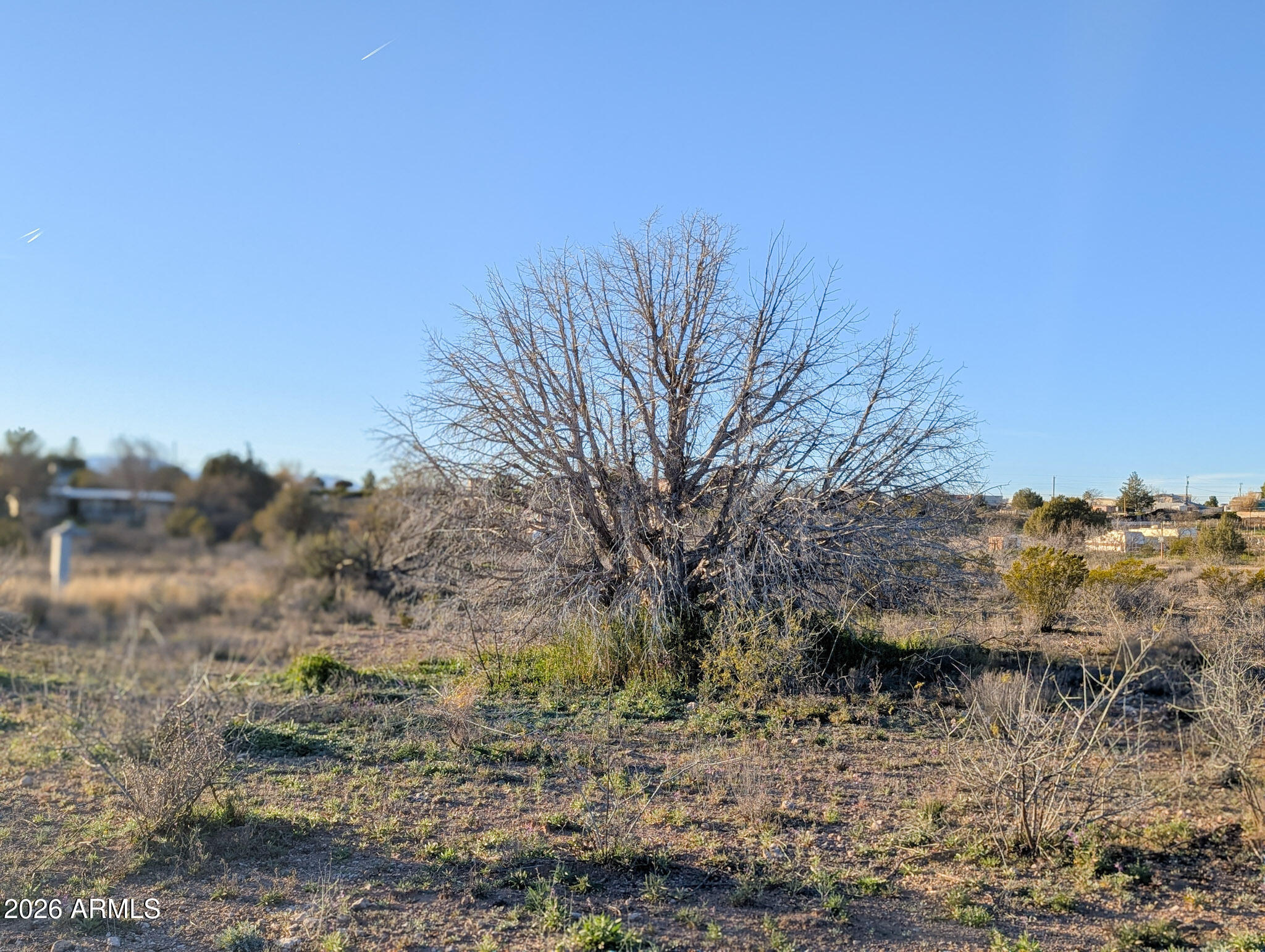 4025 East Red Baron Drive, Unit 40525757Z Rimrock, AZ 86335 - Photo 37 of 66 a view of a yard with a tree