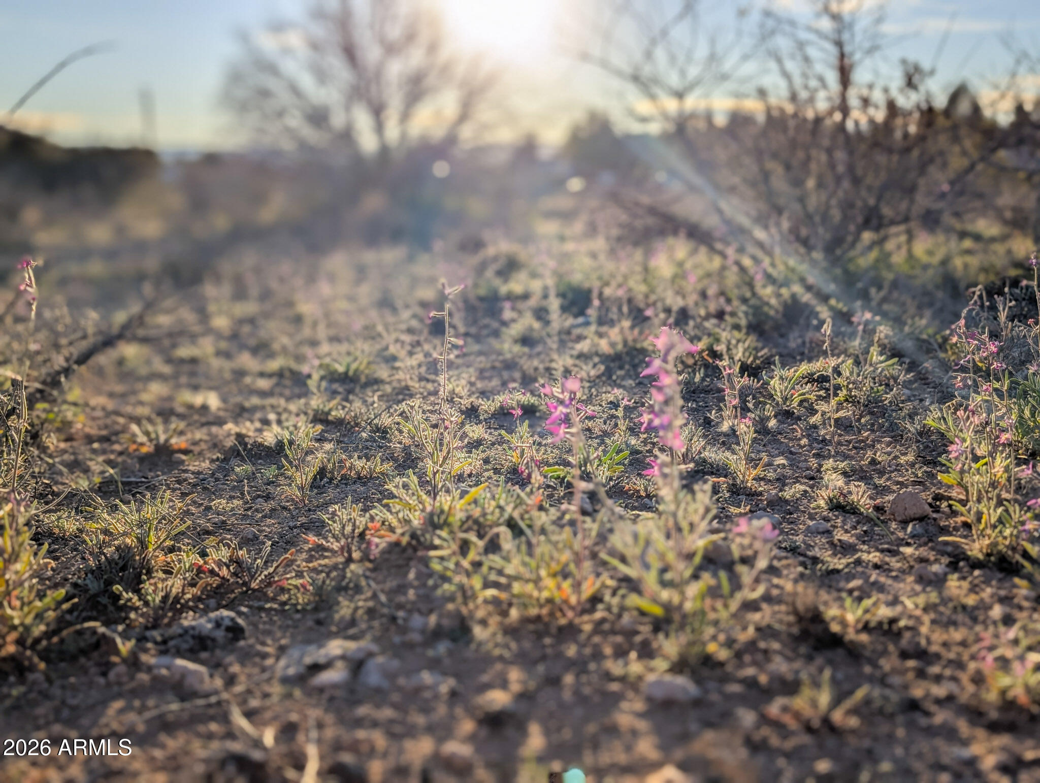 4025 East Red Baron Drive, Unit 40525757Z Rimrock, AZ 86335 - Photo 40 of 66 a view of a yard