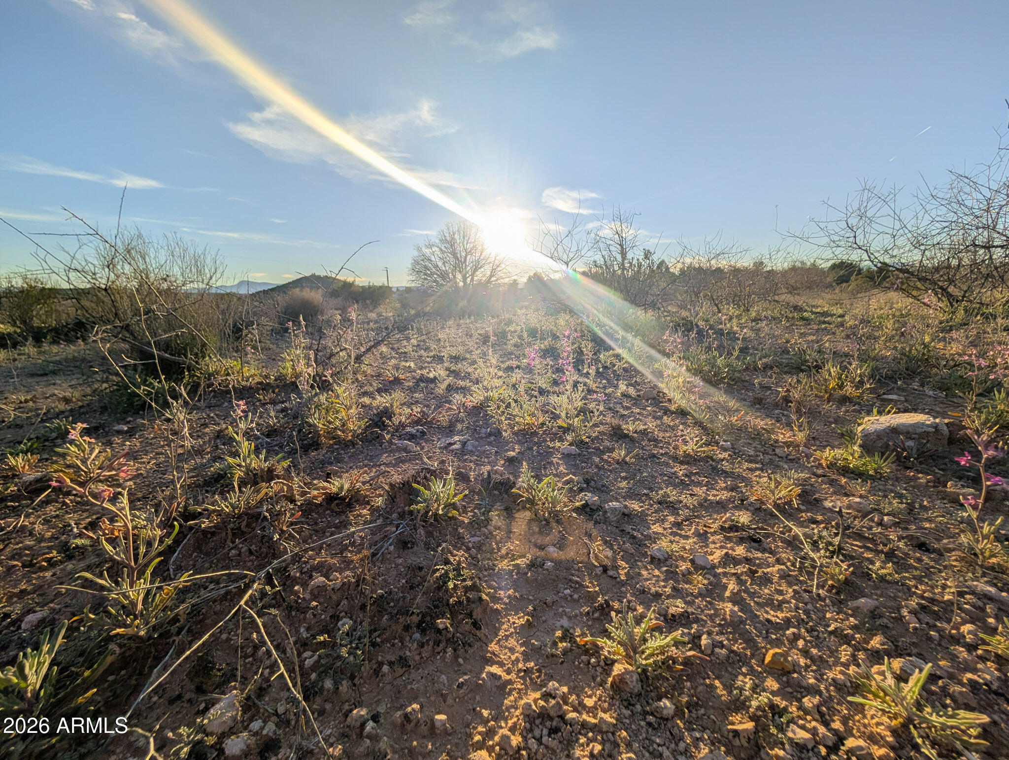 4025 East Red Baron Drive, Unit 40525757Z Rimrock, AZ 86335 - Photo 4 of 66 a view of a dry yard with mountains in the background