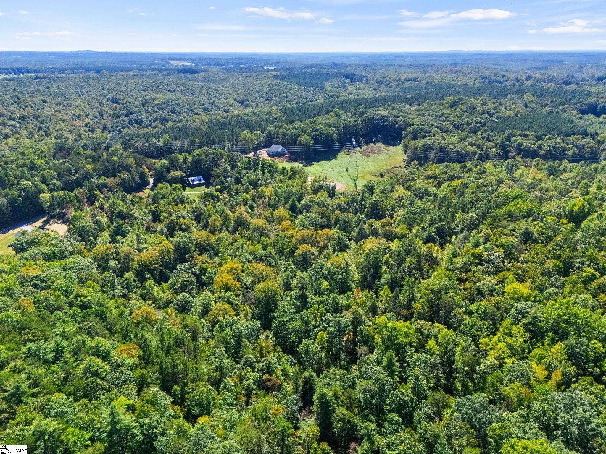 313 Arledge Road Landrum, SC 29356 - Photo 11 of 25