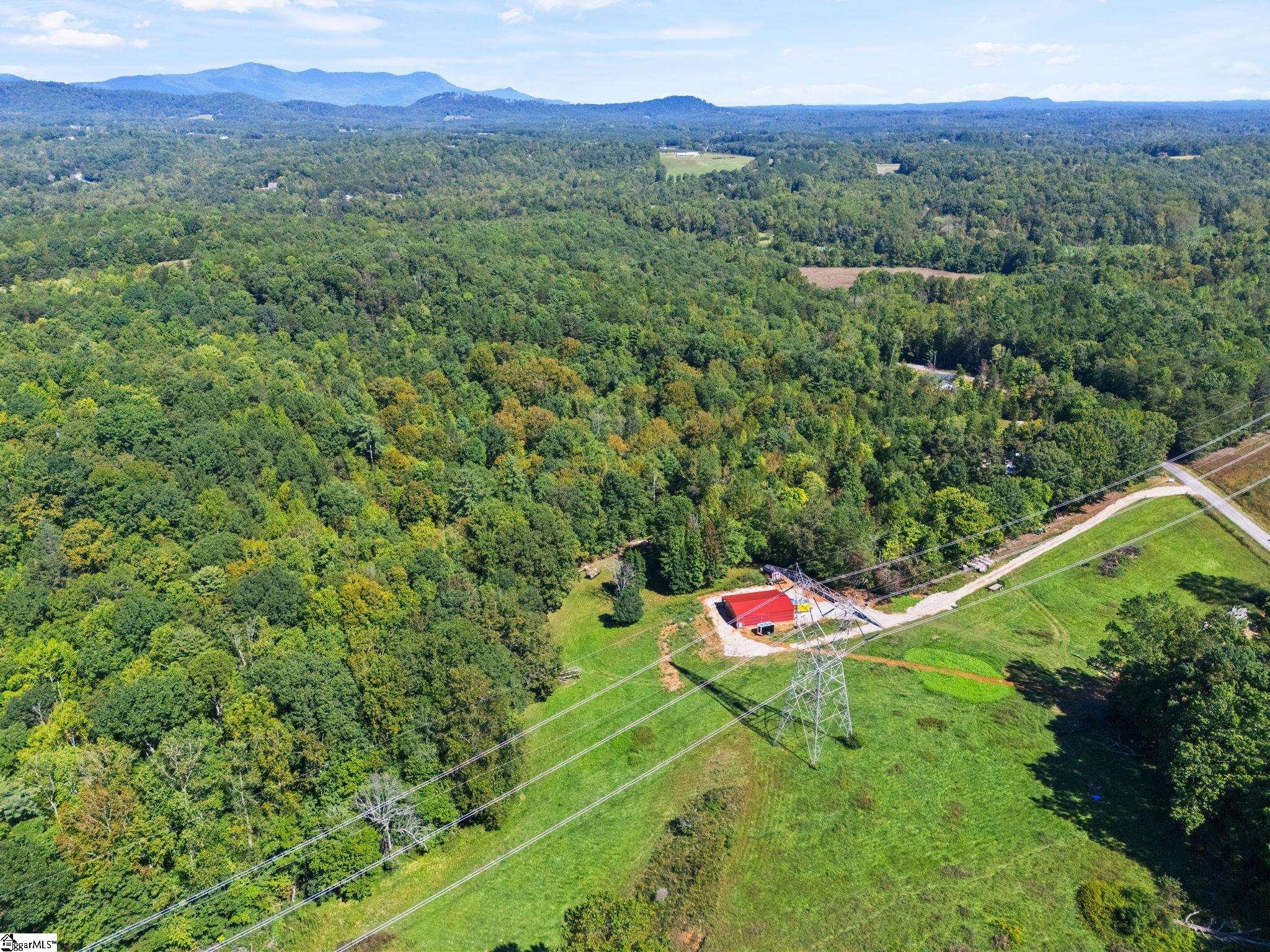 313 Arledge Road Landrum, SC 29356 - Photo 13 of 25