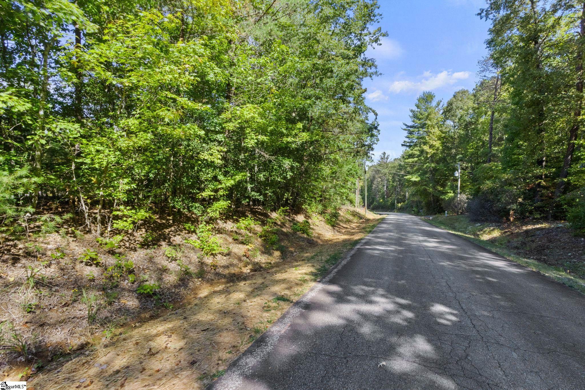 313 Arledge Road Landrum, SC 29356 - Photo 16 of 25