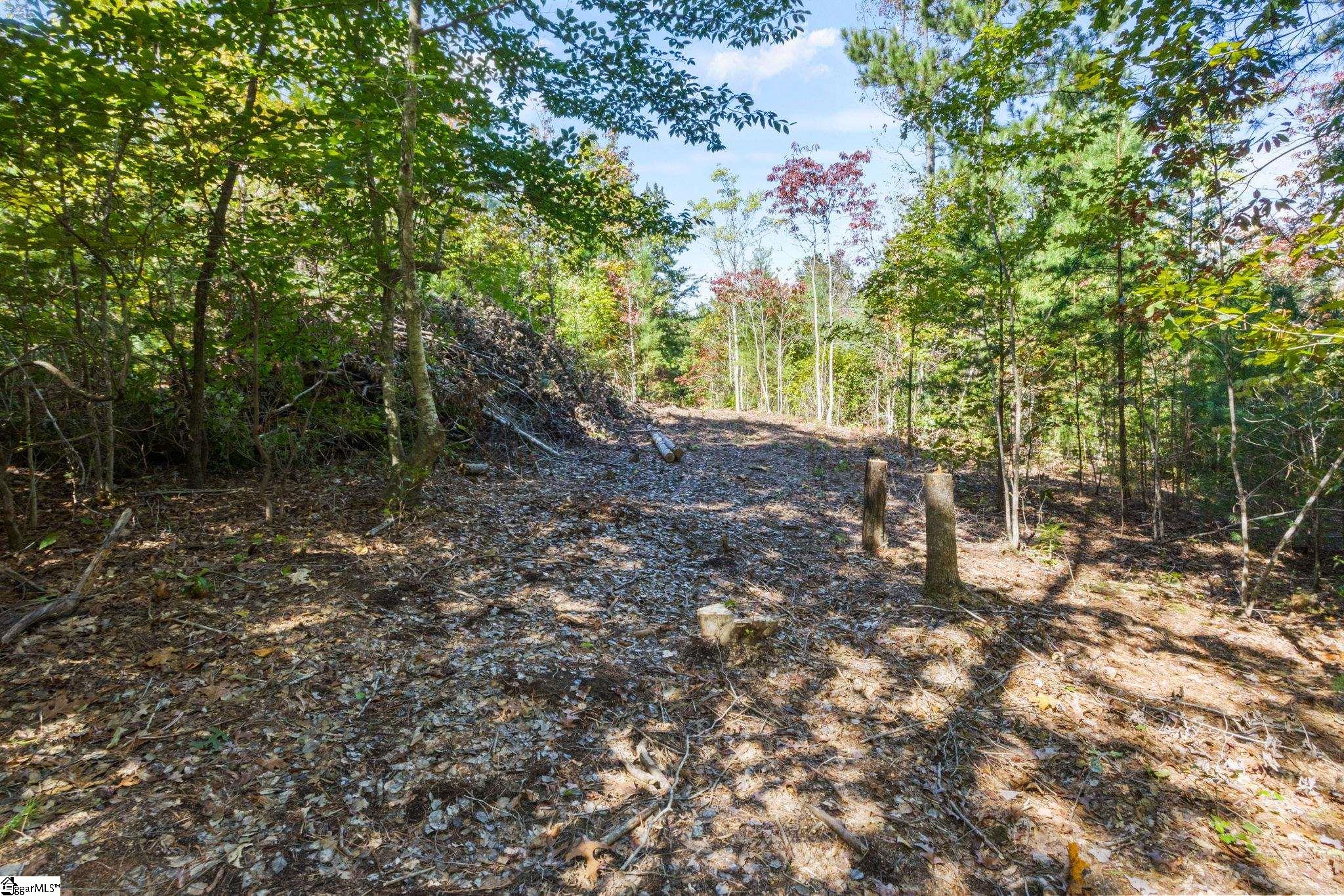 313 Arledge Road Landrum, SC 29356 - Photo 17 of 25