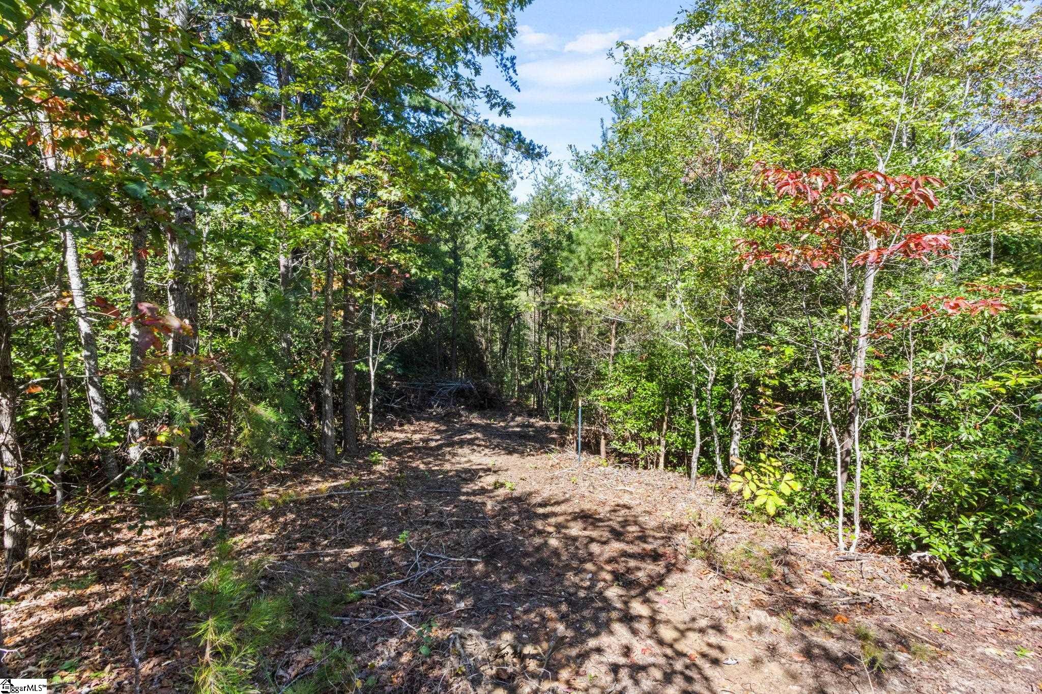 313 Arledge Road Landrum, SC 29356 - Photo 18 of 25