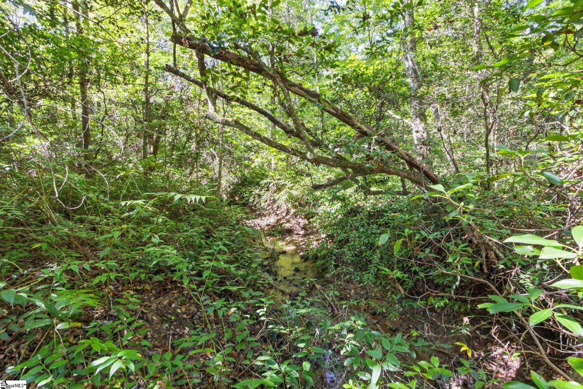 313 Arledge Road Landrum, SC 29356 - Photo 20 of 25